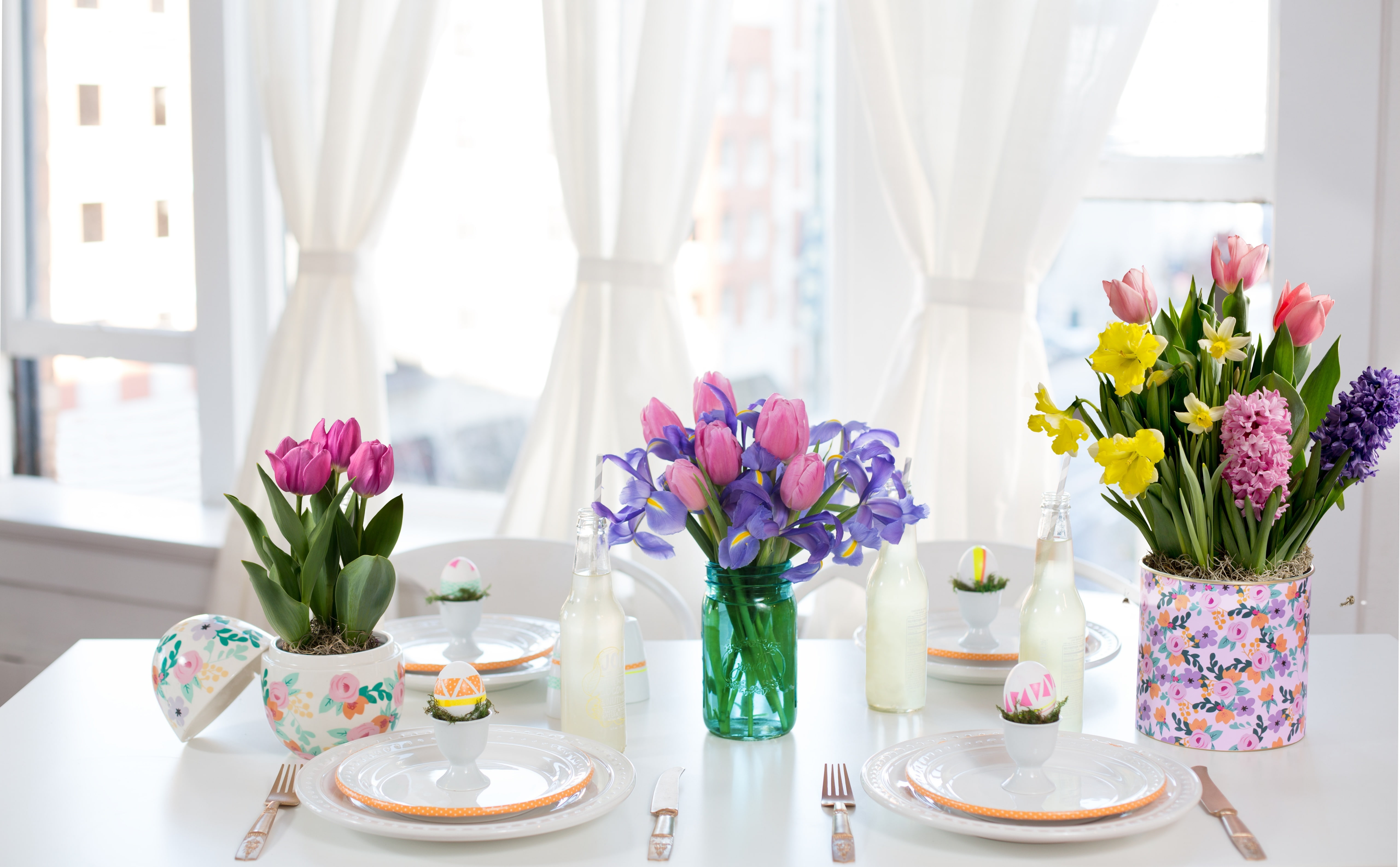 EatingUtensils, window, Romantic, Table, planted, curtain, furniture, flower, vulnerability, fragility, proflowers, 5K, freshness, beauty in nature, Hyacinth, HD Wallpaper