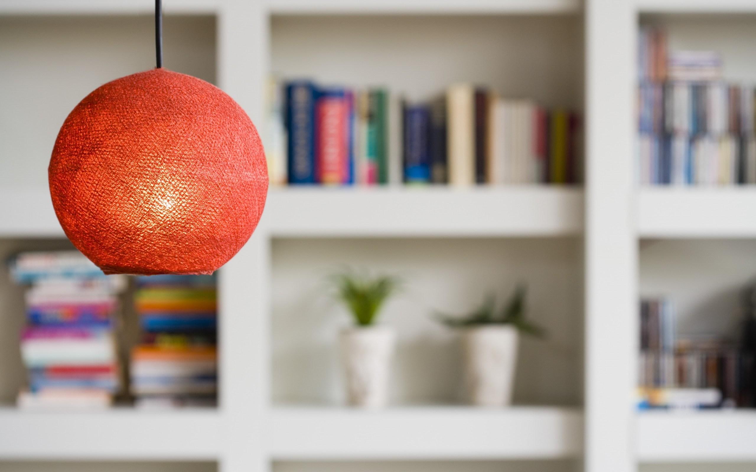 flowers, books, lamp, style, racks, 2K, HD Wallpaper