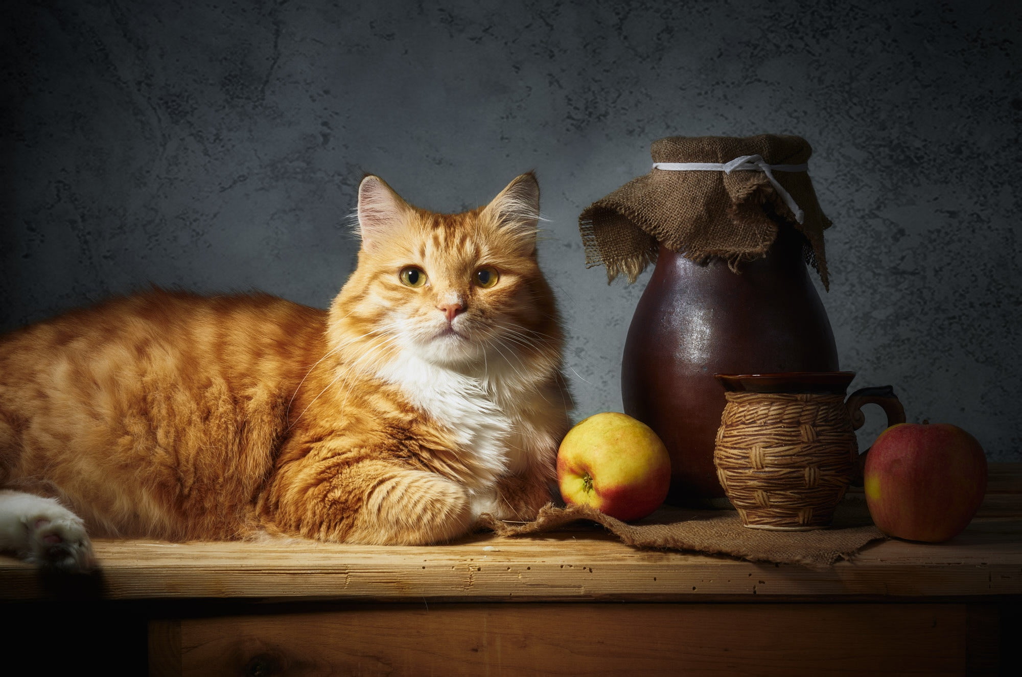 comfort, Cup, table, lies, red, food, burlap, fruit, still life, dishes, apples, wall, mug, cat, look, composition, the dark background, items, light, face, HD Wallpaper