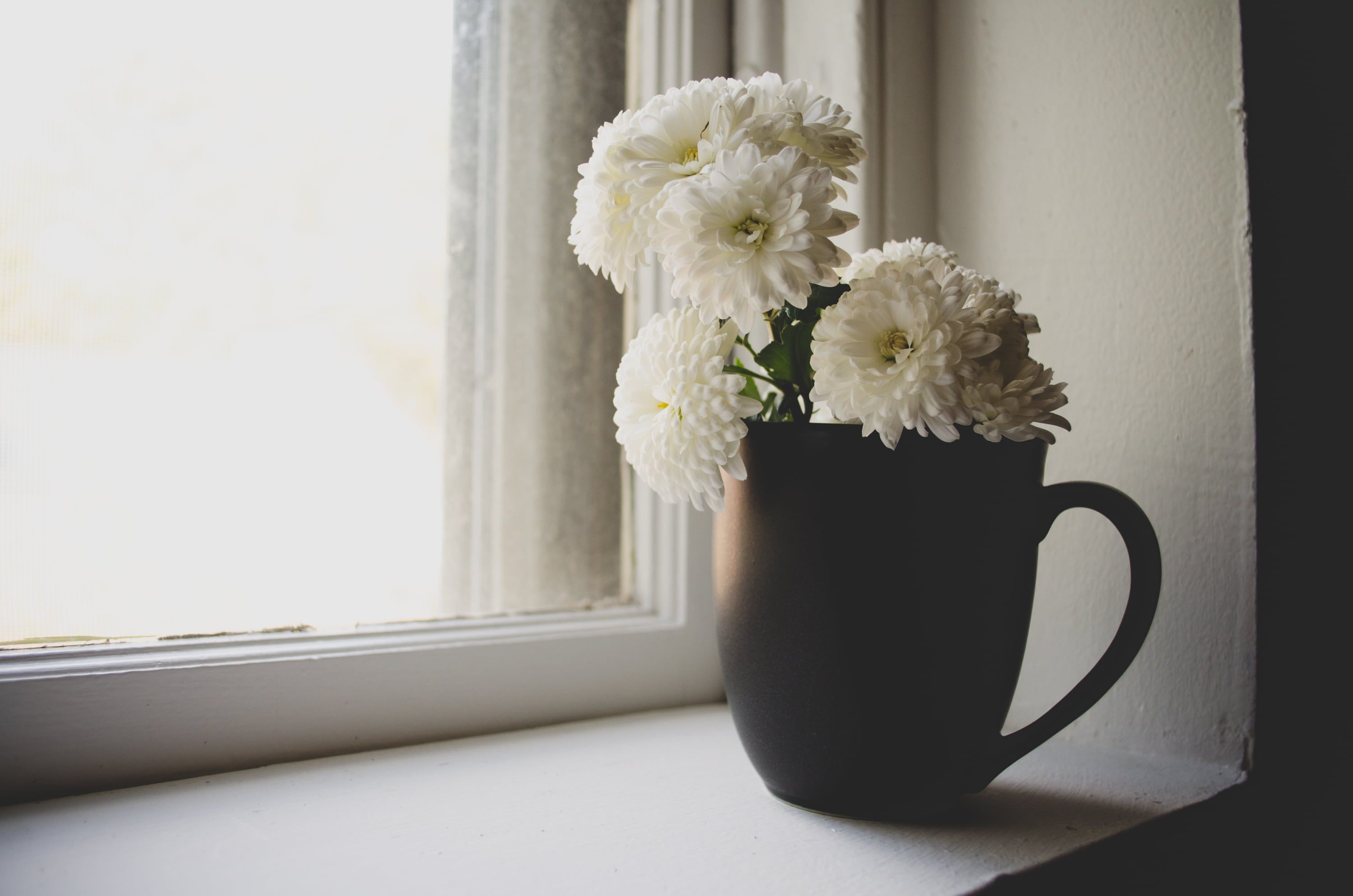 bloom, flower arrangement, indoors, table, flower head, window sill, white color, decoration, wood, flora, petals, bunch of flowers, window, flowering plant, HD Wallpaper