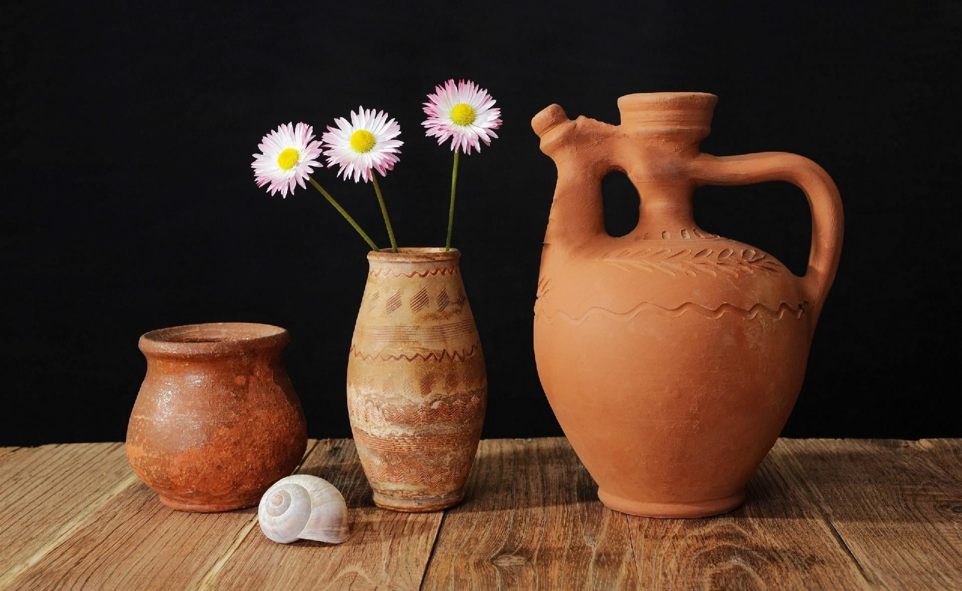 daisy, earthenware, craft, clay, rustic, old-fashioned, arrangement, flowering plant, ornate, brown, pottery, food and drink, homemade, crockery, ceramic, HD Wallpaper