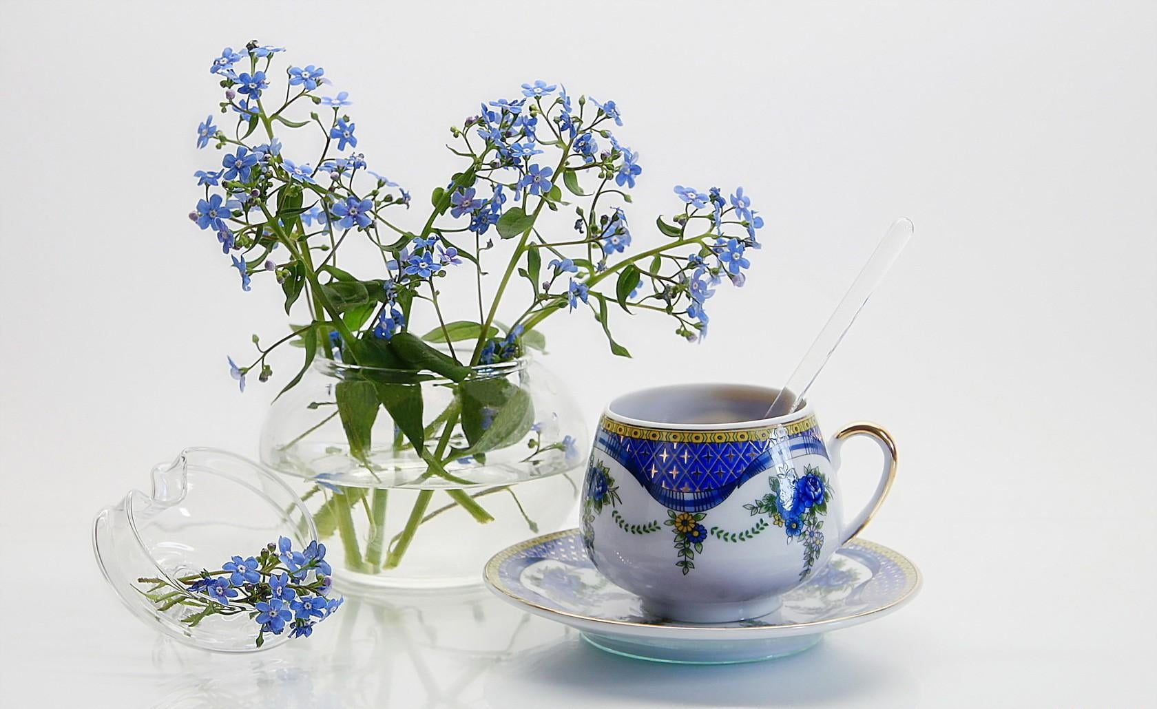 springtime, blossom, decoration, blue, saucer, flower Head, plant, small, mug, floral pattern, purple, no People, freshness, jug, tea, leaf, hot drink, HD Wallpaper