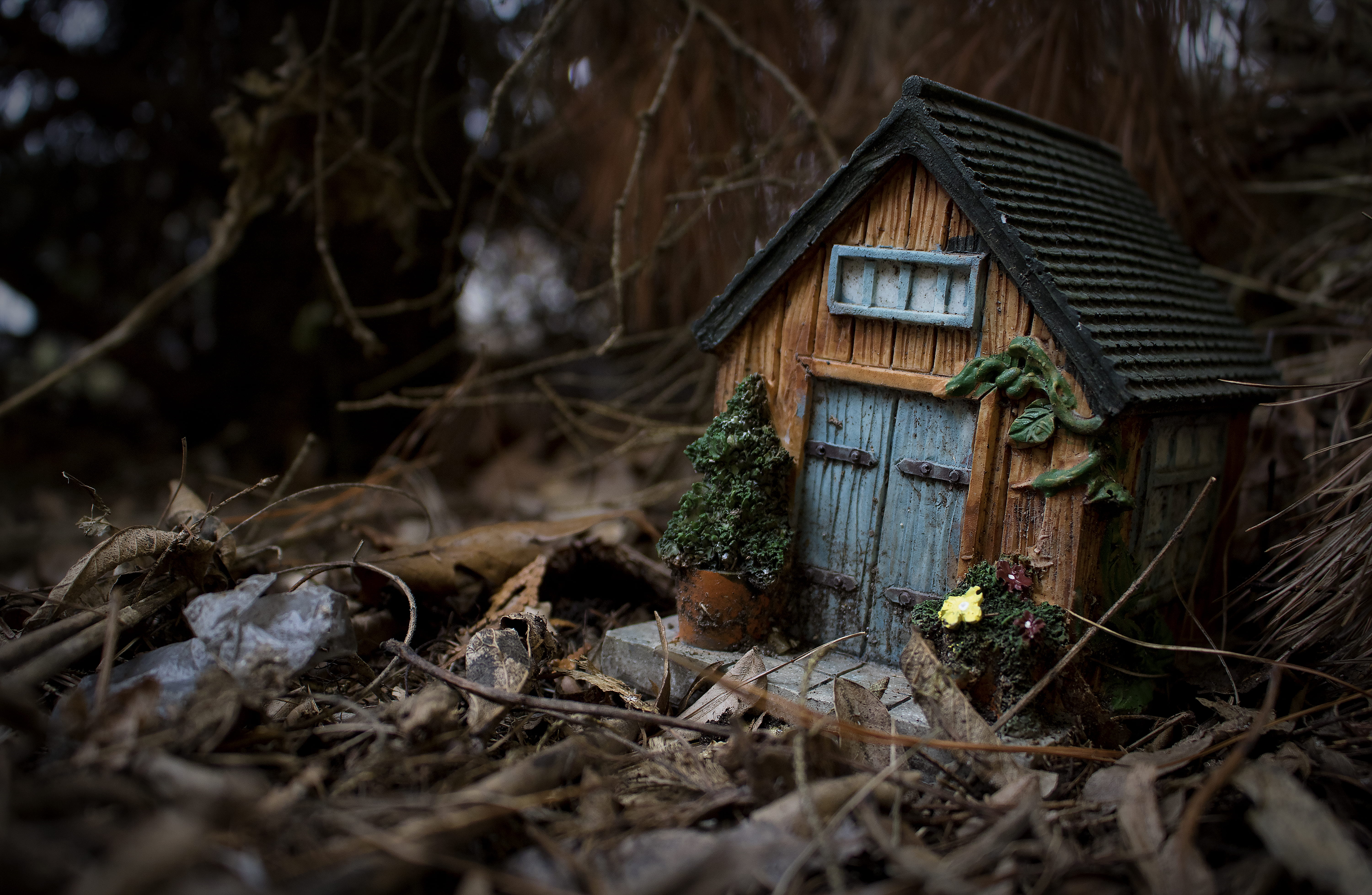 5K, house, built structure, dried, toy, nature, wood - material, wood, selective focus, focus, abandoned, shallow, miniature, leaf, outdoors, plant, building, HD Wallpaper