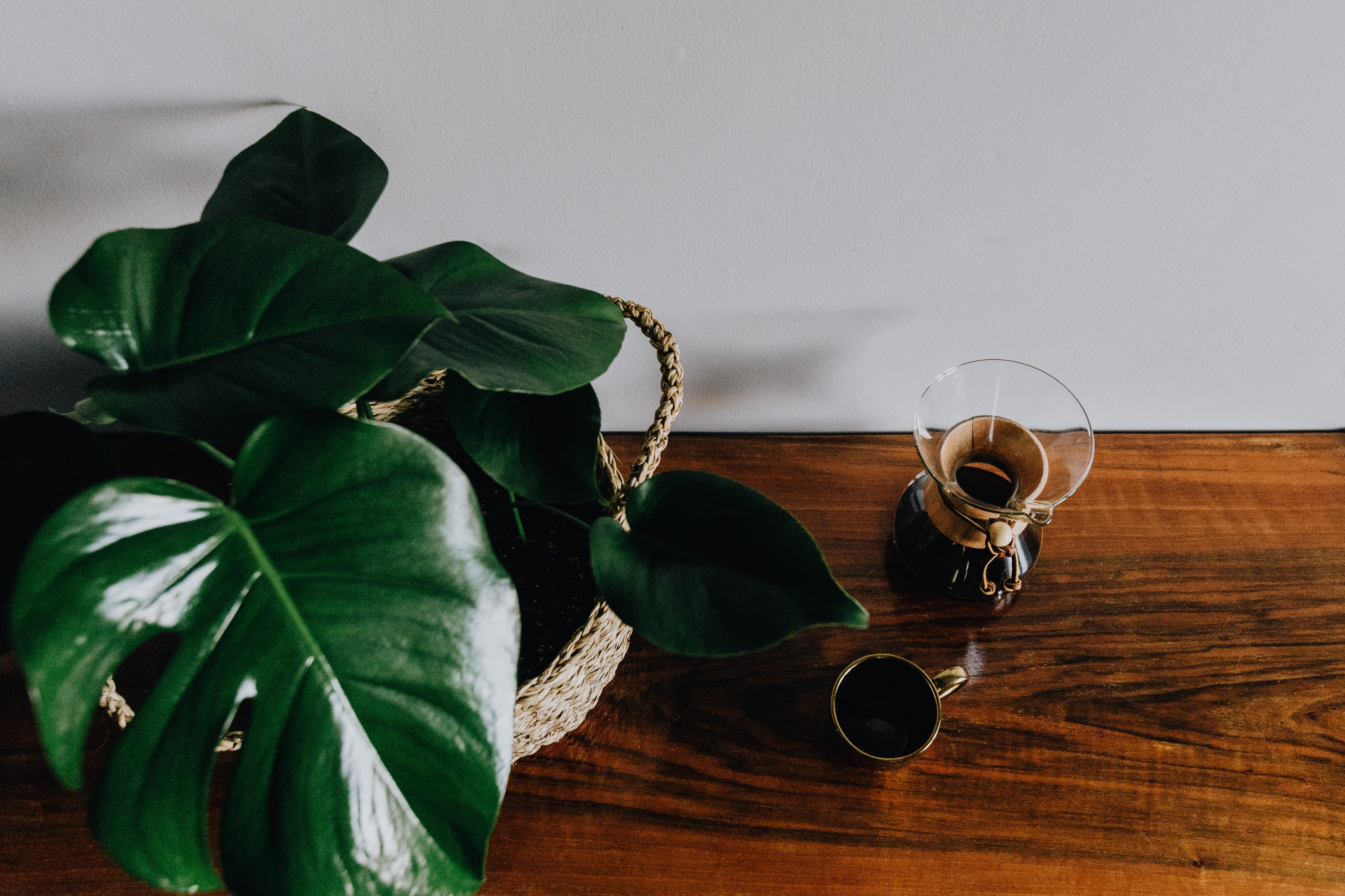still life, wood - material, pitcher - jug, drinking glass, coffee, food and drink, pause, green color, table, leaf, mug, indoors, morning, cafe, container, HD Wallpaper