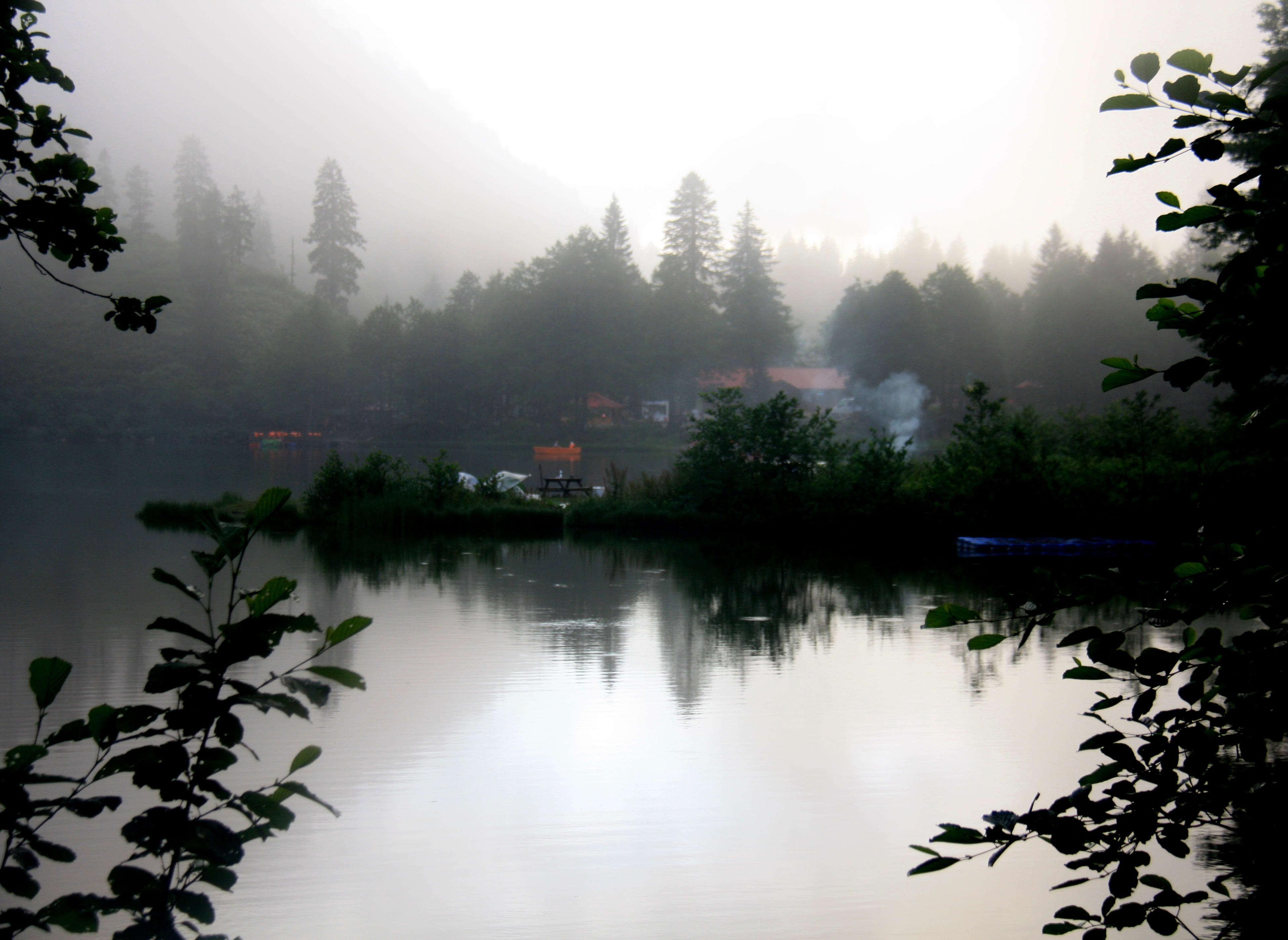 landscape, artvin, idyllic, day, sky, tranquility, scenics - nature, non-urban scene, tree, karagöl, reflection lake, no people, tranquil scene, borçka, HD Wallpaper
