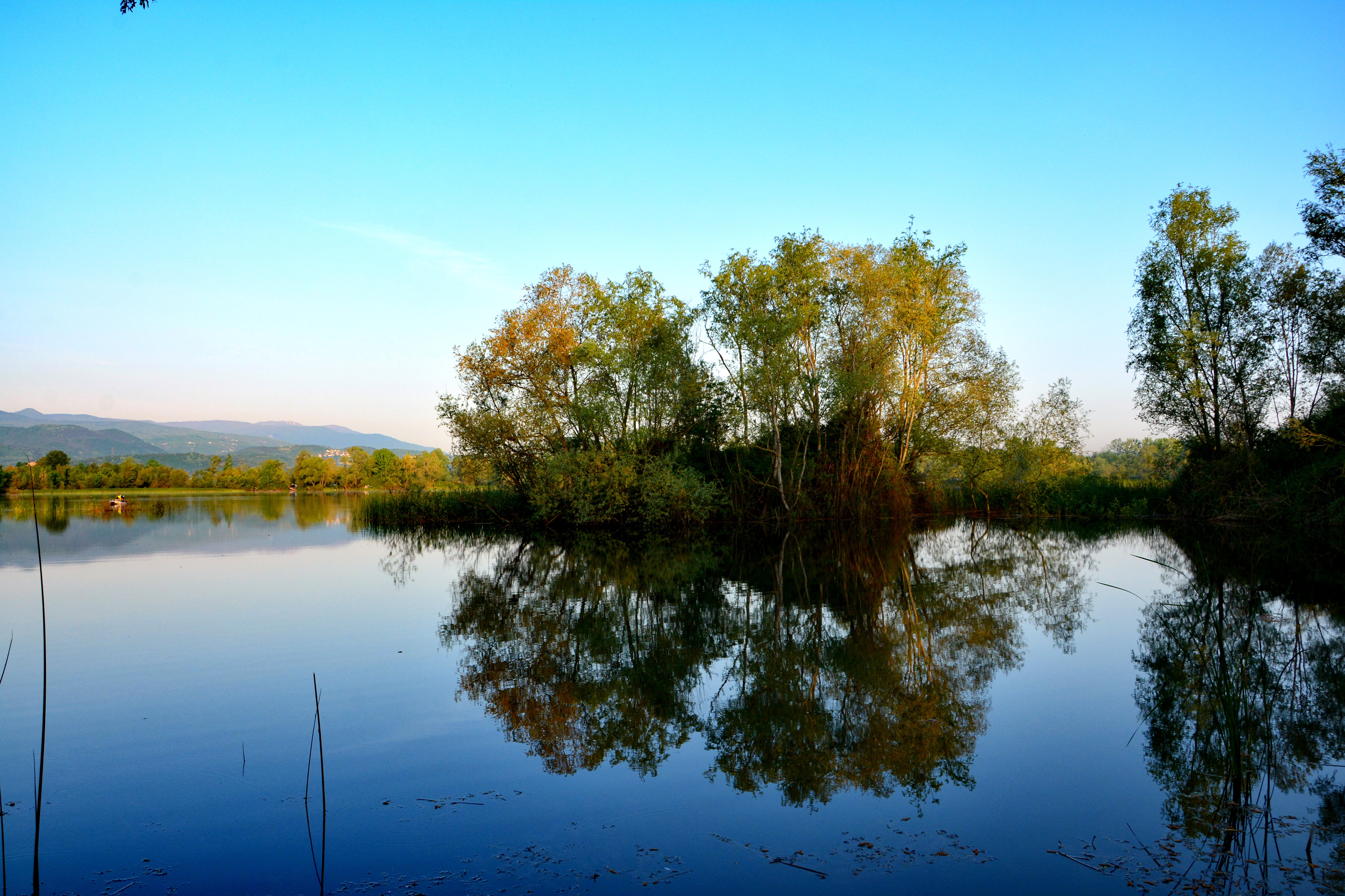 non-urban scene, day, tranquility, view, sakarya, reflections, scenics, water, sky, waterfront, outdoors, tree, summer, growth, green color, forest, ponds, HD Wallpaper