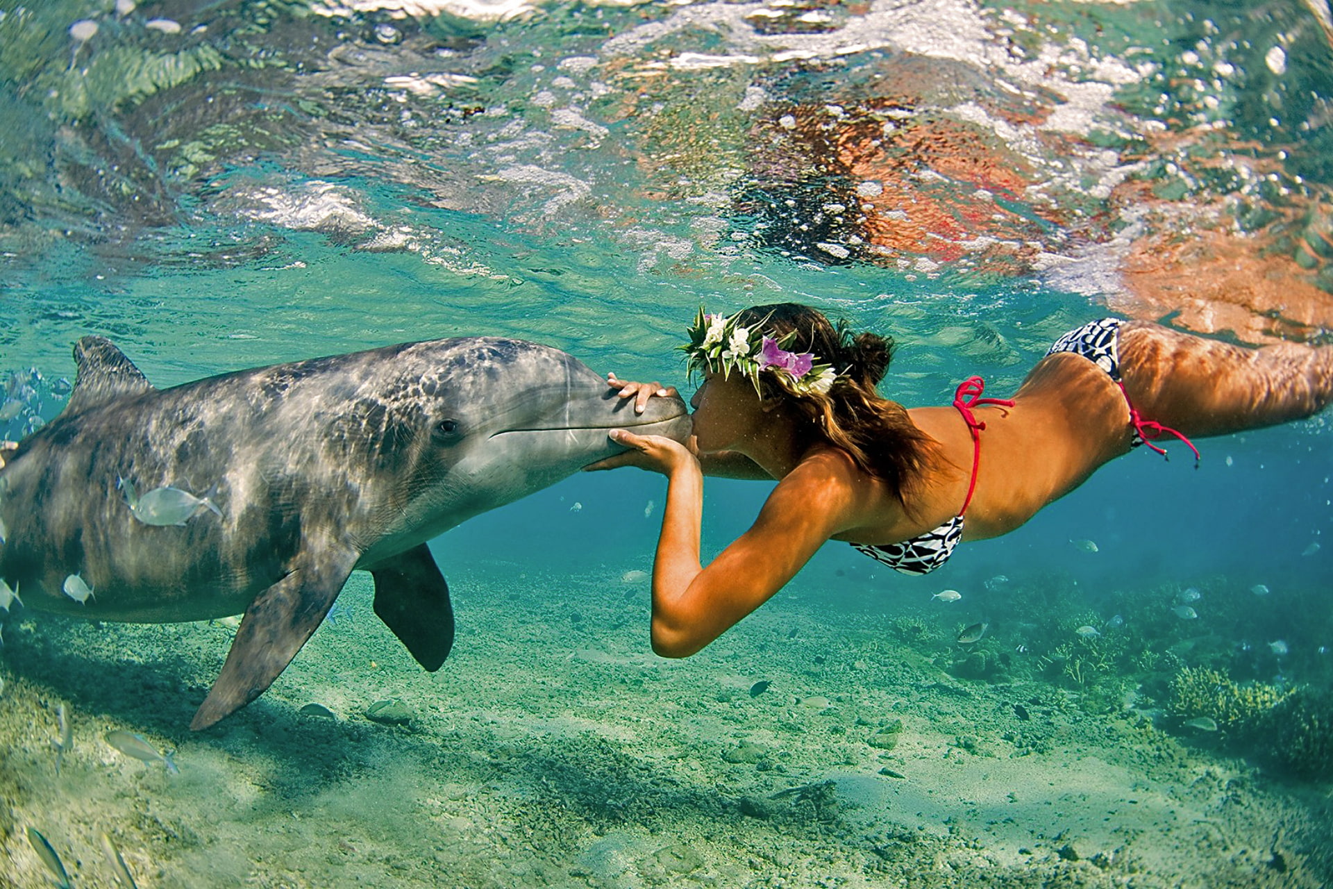 girls, nature, sea, 1080P, summer, ocean, women, girl, kiss, females, bikini, dolphin, HD Wallpaper