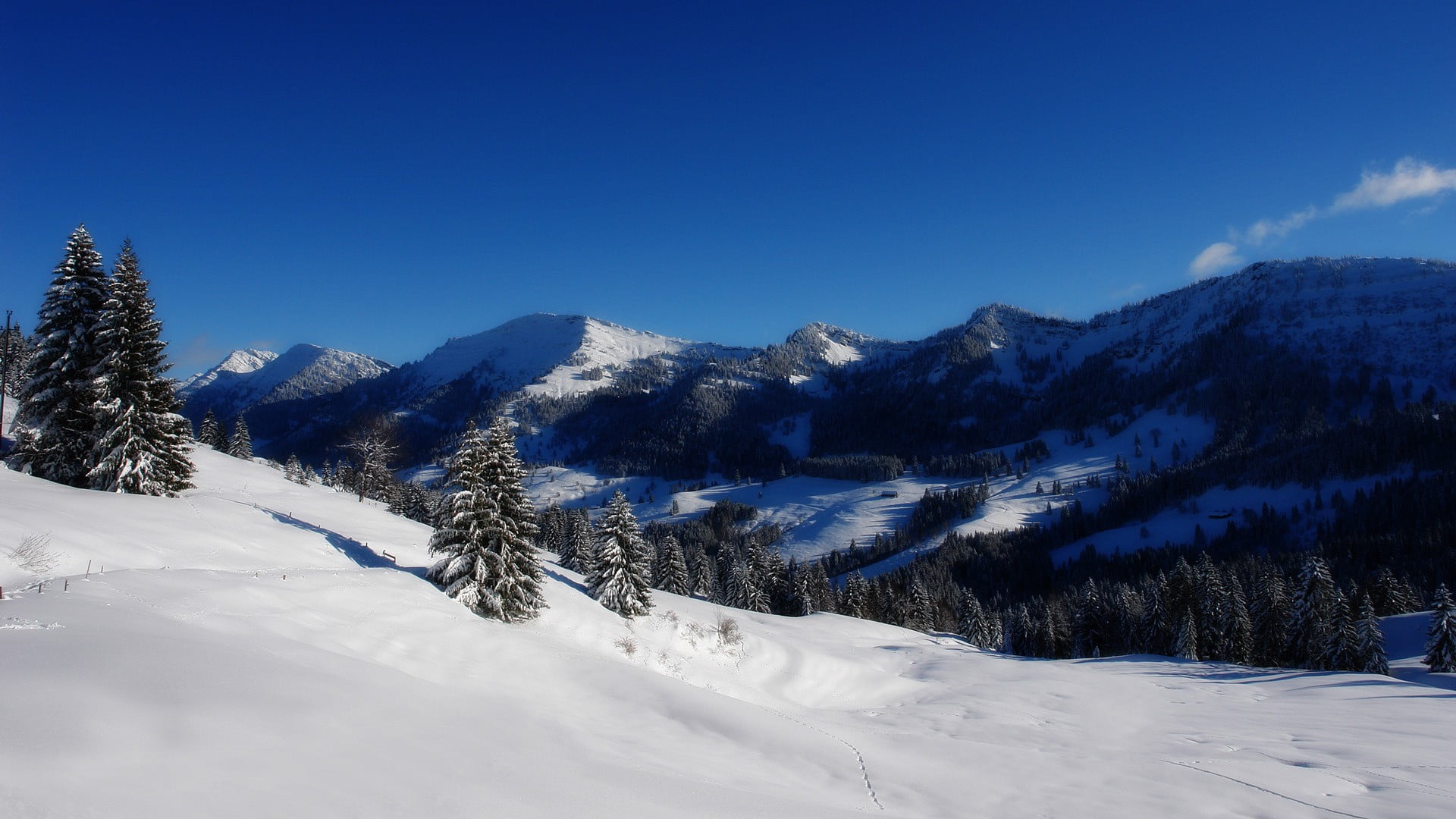 tranquility, 1080P, snowcapped mountain, no people, pine tree, non-urban scene, terrain, beauty in nature, coniferous tree, blue, landscape, scenics - nature, HD Wallpaper