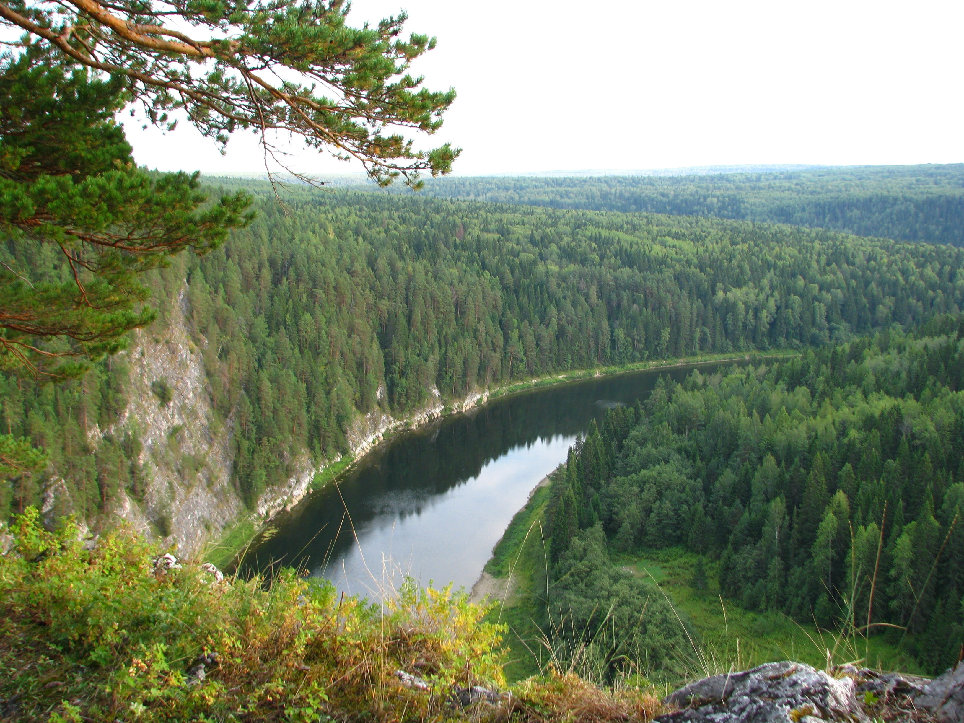 tree, forest, tourism, plant, breakage, tranquil scene, summer, beauty in nature, scenics - nature, tranquility, perm krai, sky, russia, flowing, beauty, HD Wallpaper