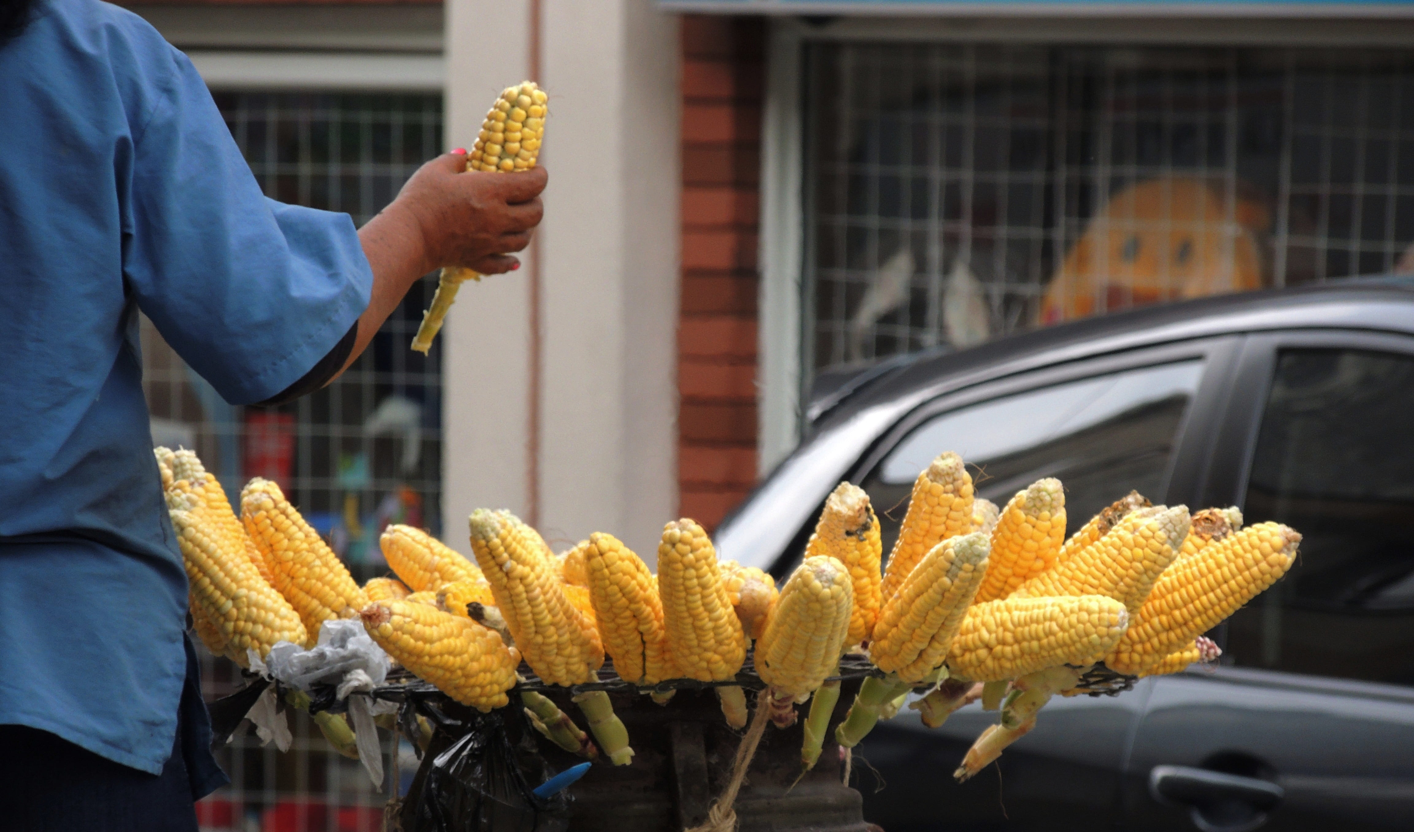 transportation, motor vehicle, retail, corn, snack, day, standing, hand, colombia, outdoors, cob, saleswoman, real people, armenia, concession stand, mode of transportation, HD Wallpaper