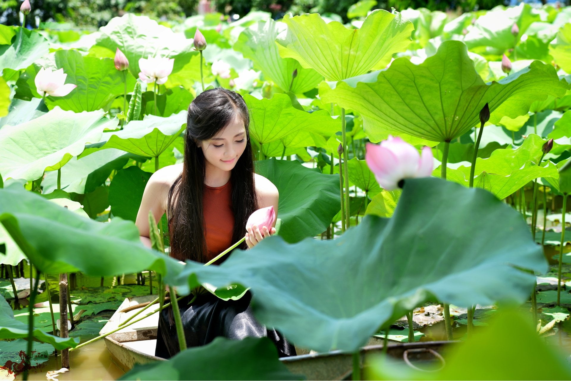 Boat, Women, day, green color, real people, Leaf, Vietnamese, Pond, Sunshine, casual clothing, growth, young adult, plant part, leaves, lifestyles, Lotus, HD Wallpaper