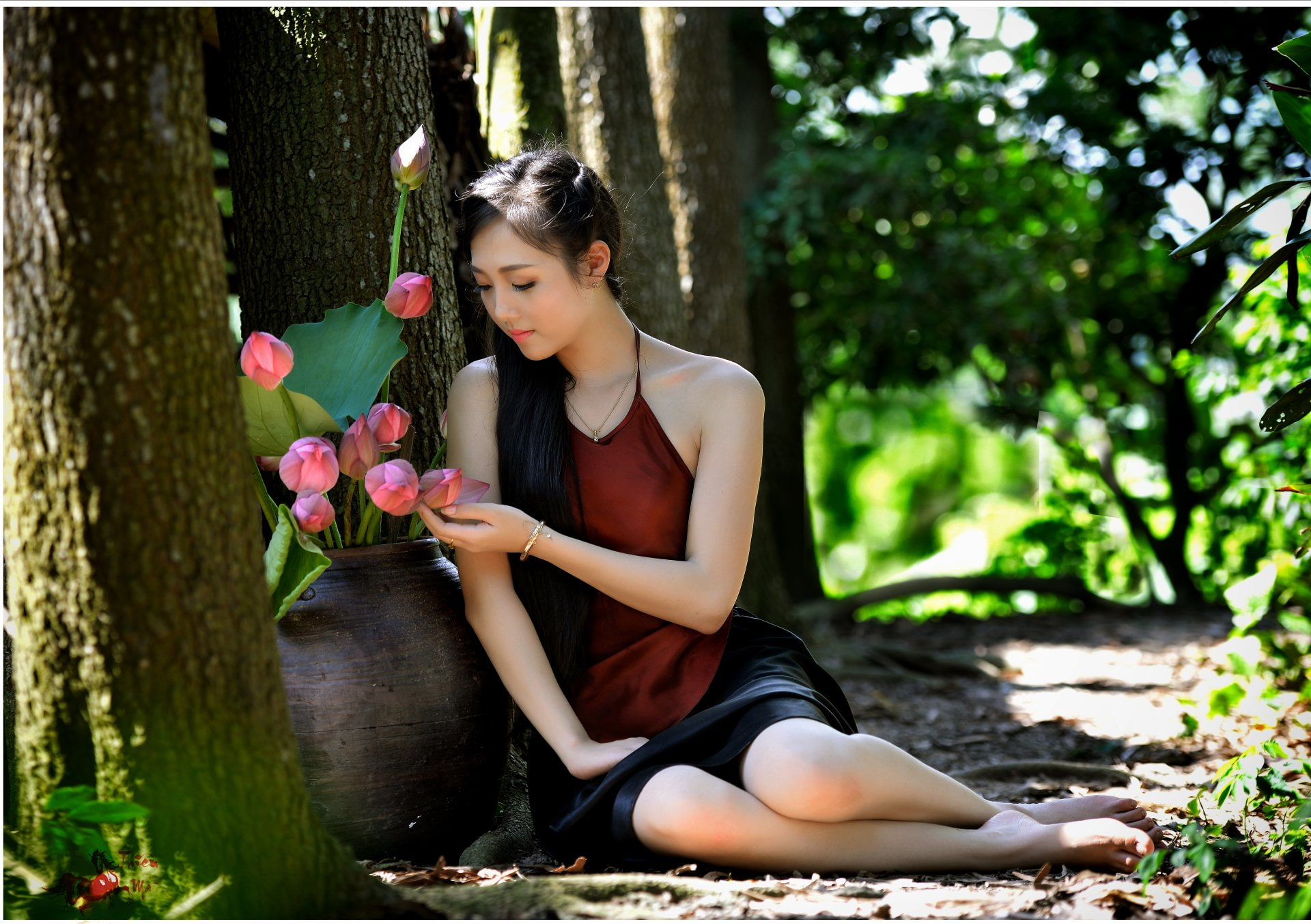 Bokeh, Lotus, Vase, Women, Asian, Girl, 1080P, Vietnamese, HD Wallpaper
