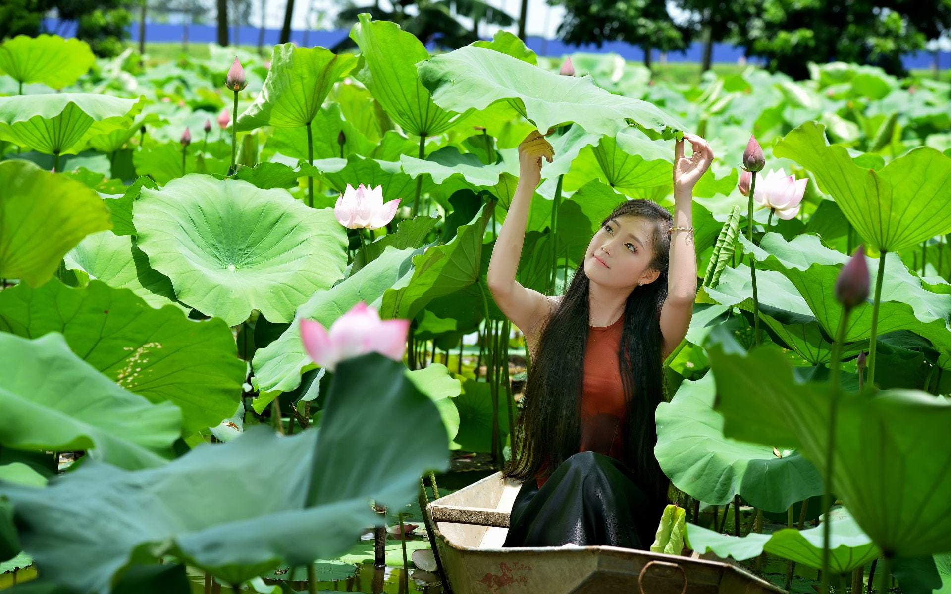 Asian, Pond, 1080P, Boat, Women, Woman, Vietnamese, Lotus, Girl, Leaf, HD Wallpaper