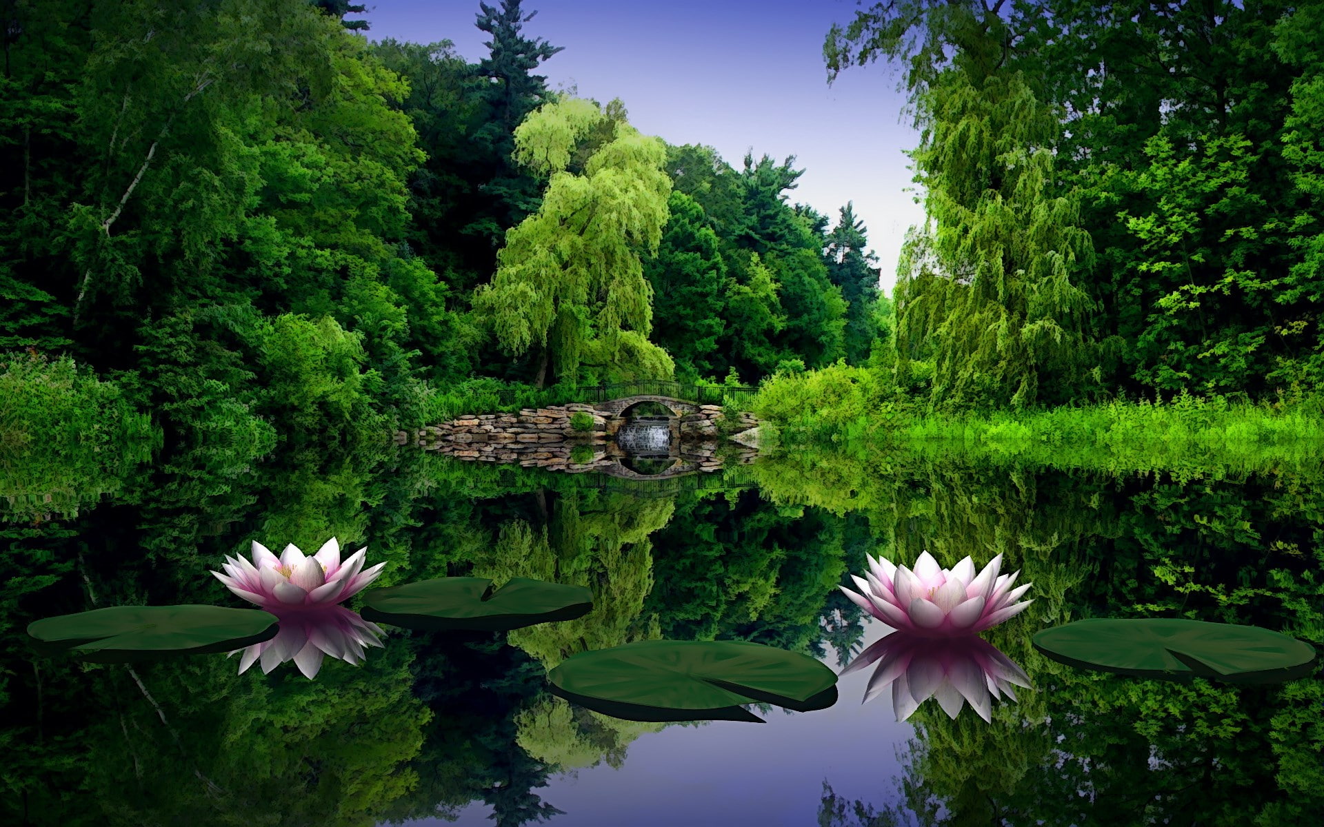 leaf, outdoors, water lily, plant, nature, freshness, day, vulnerability, growth, flowering plant, water, 1080P, flower, flower head, beauty in nature, HD Wallpaper