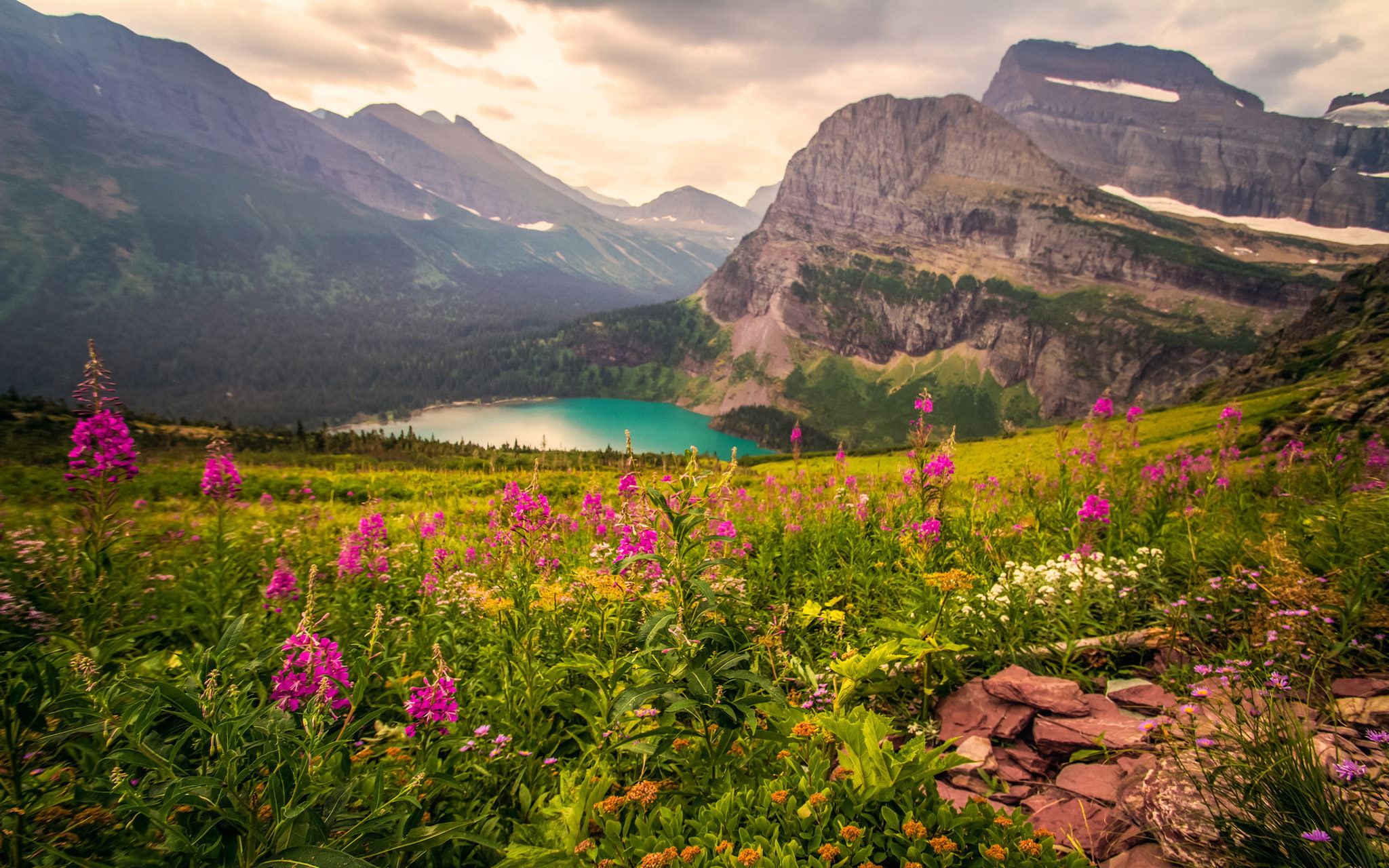 1080P, mountain, park, hd, flowers, meadow, lake, planar, place, national, awesome, rocky, usa, green, grass, glacier, landscape, HD Wallpaper