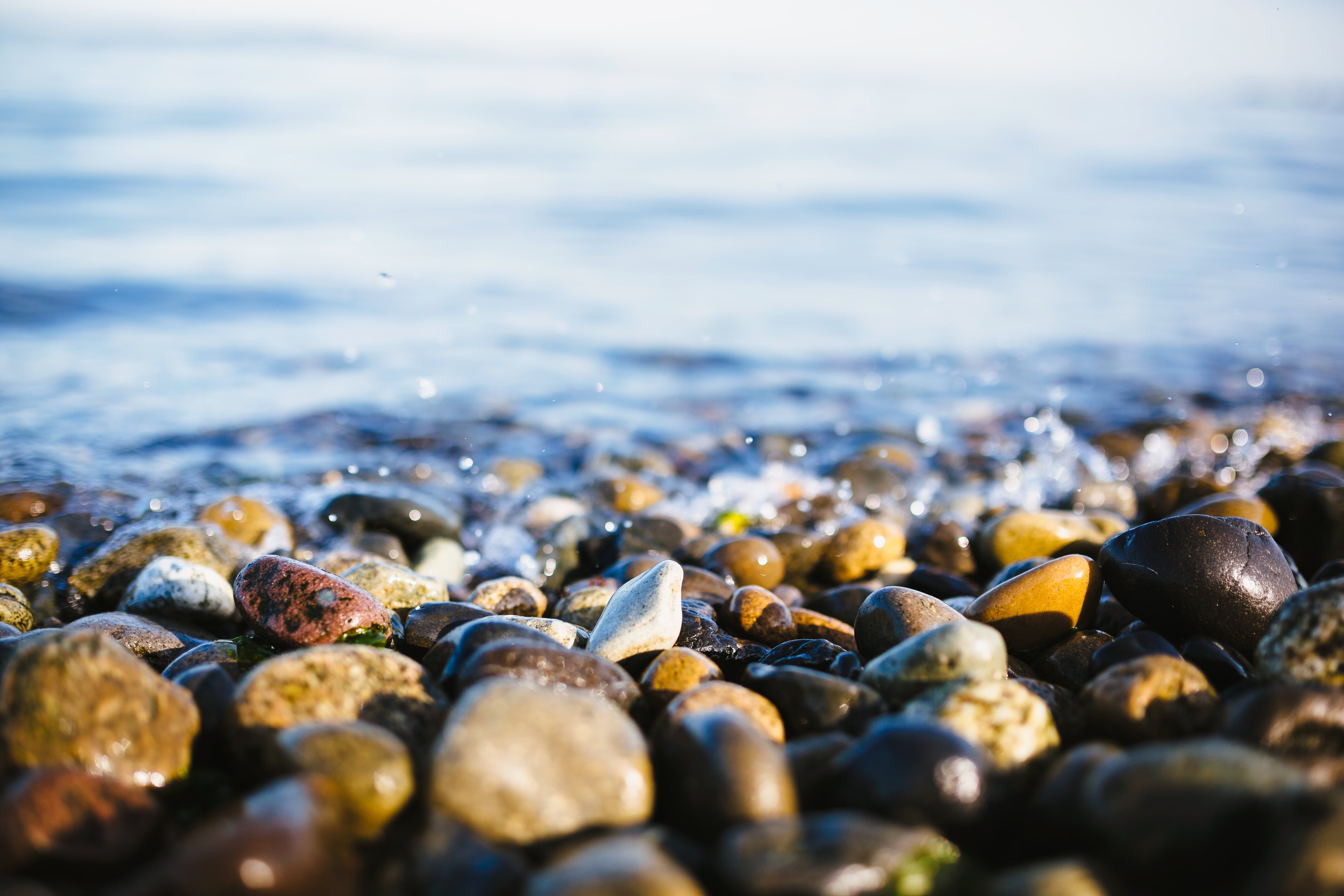 F1.4, water, Pacific Northwest, pebble, Canon EOS 5D Mark III, beside, Origins, nature, Sigma, backgrounds, stone - Object, rock - Object, sea, west seattle, HD Wallpaper