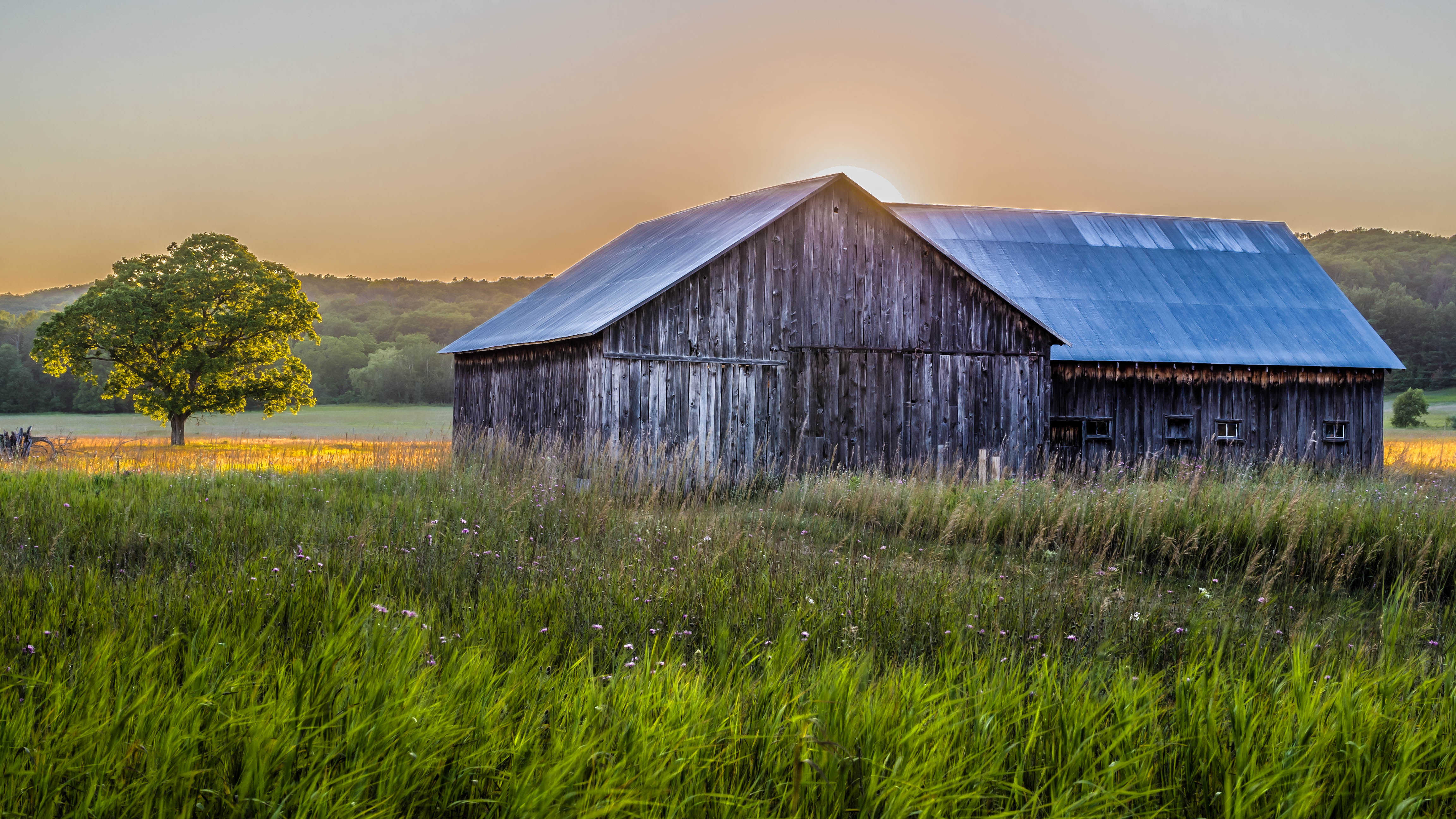 green leaf, outdoors, wooden, jpg, serene, barn, M-22, sunset, Favorites, green, landscapes, house, field  building, leaf, nature, Panasonic, landscape  architecture, HD Wallpaper