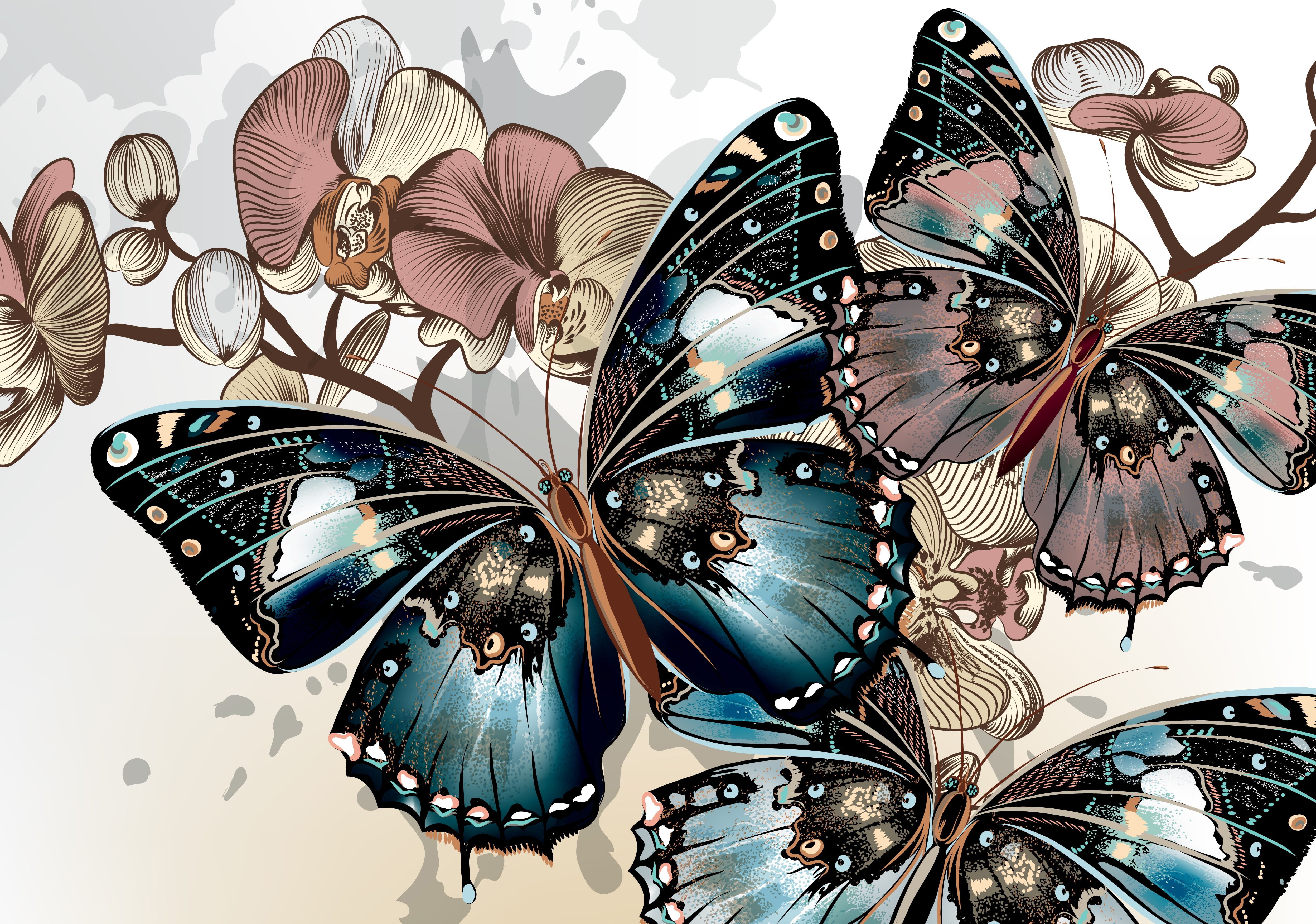 creativity, large group of objects, abundance, butterfly - Insect, white, indoors, butterfly, design, white background, beauty In Nature, background, ornate, HD Wallpaper