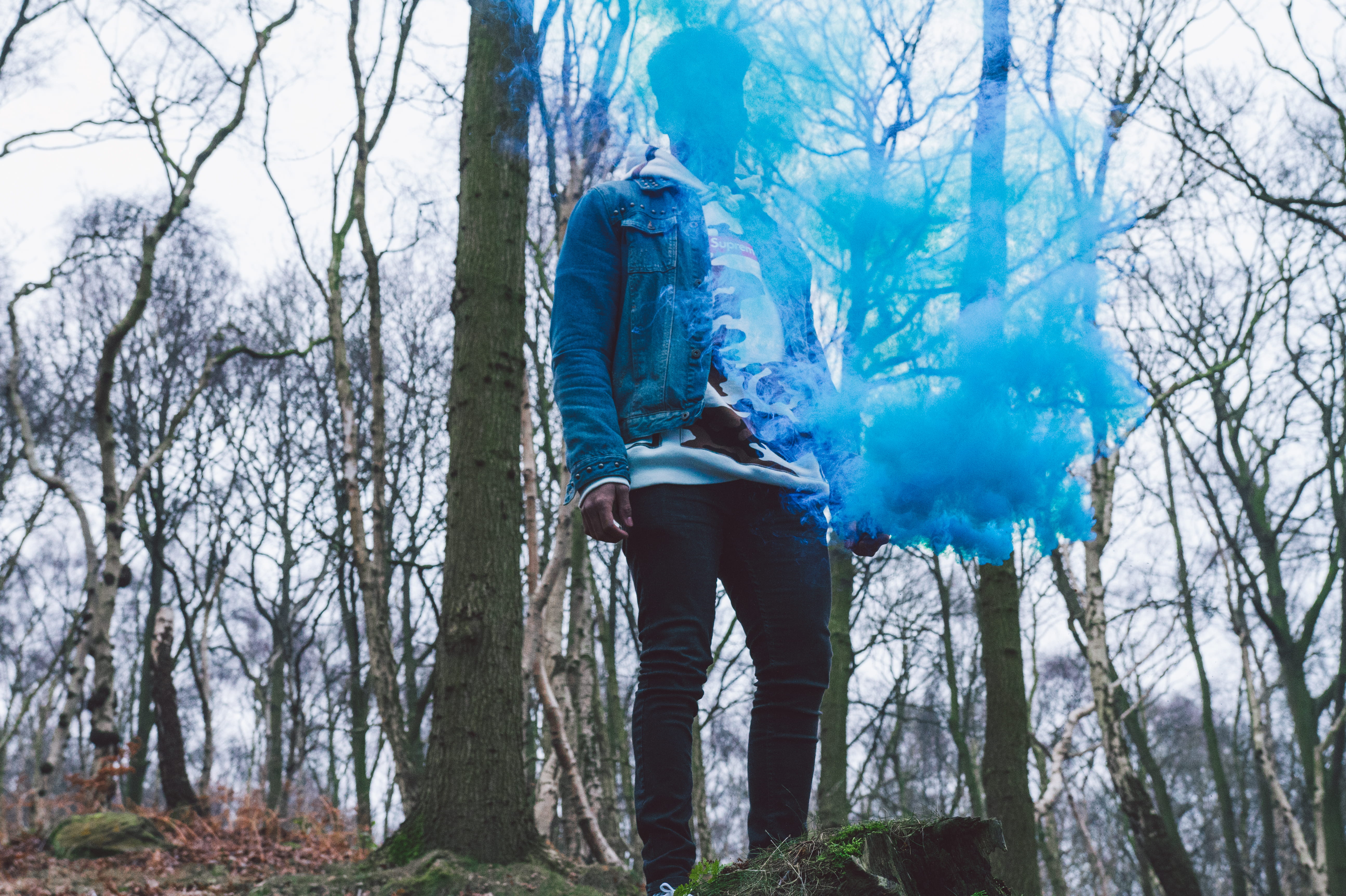 day, rear view, plant, pants, nature, black, leisure activity, face, 5K, man, person, casual clothing, smoke, hide, land, trunk, tree, tree trunk, p, outdoors, HD Wallpaper
