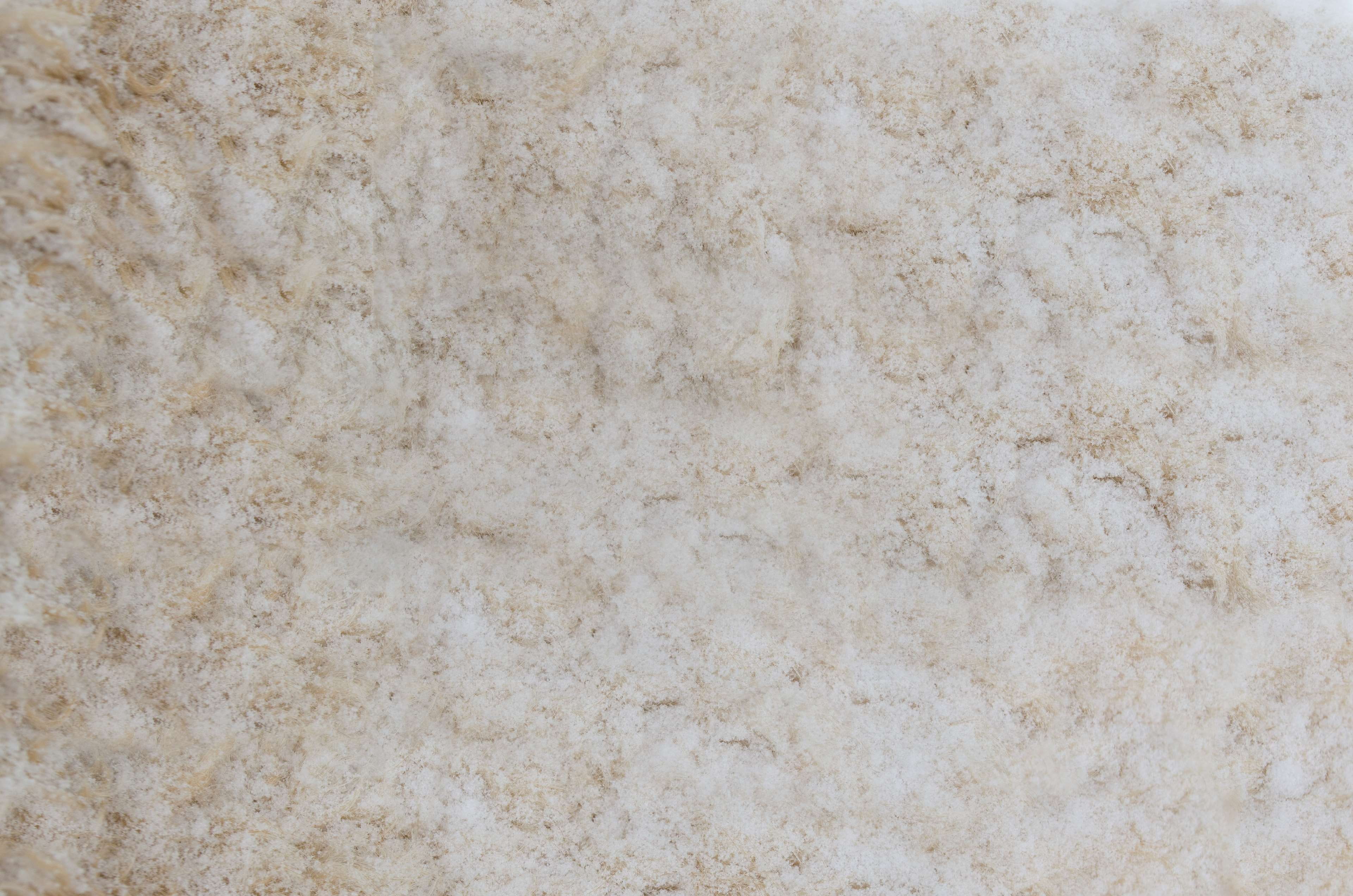 wall - building feature, real, closeup, animal, hide, backgrounds, beige, fur, blank, marble, bears, sheep, dog, built structure, 4K, no people, mammal, HD Wallpaper