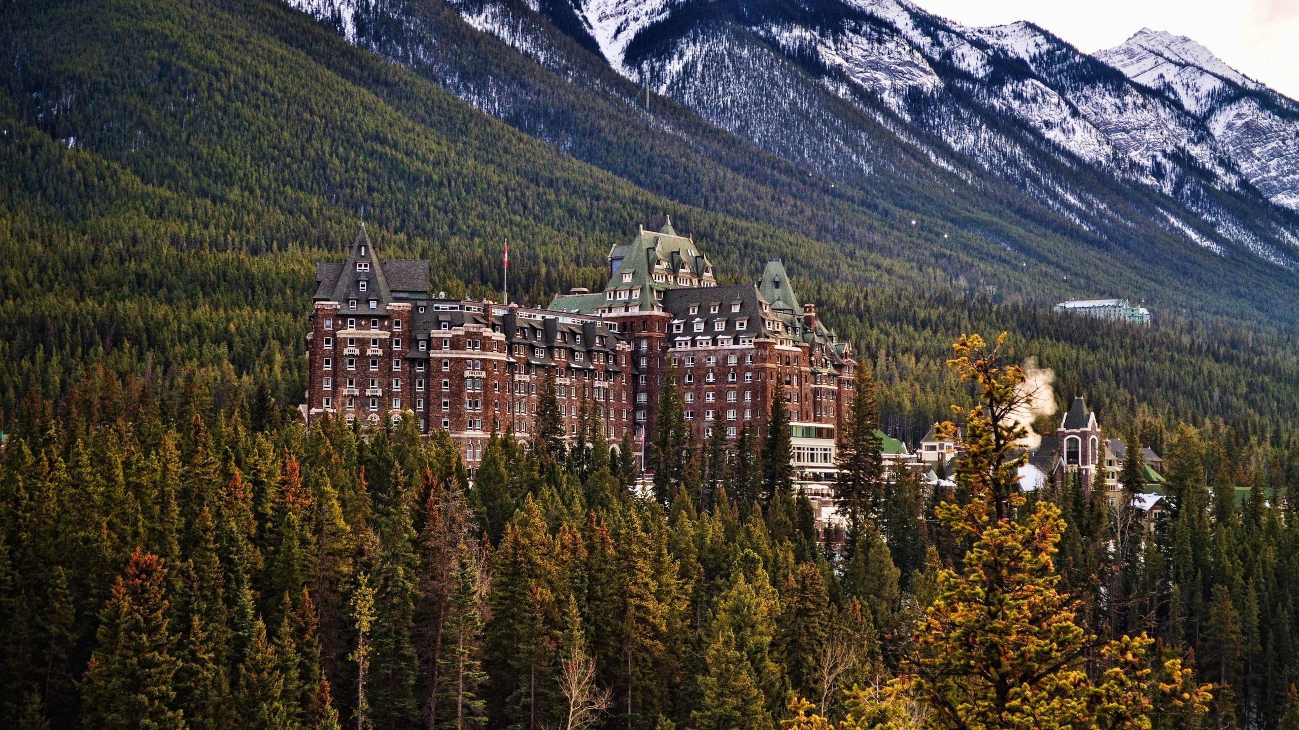 residential district, building, beauty in nature, tree, Snowy Peak, landscape, forest, outdoors, building exterior, day, plant, built structure, mountain, HD Wallpaper