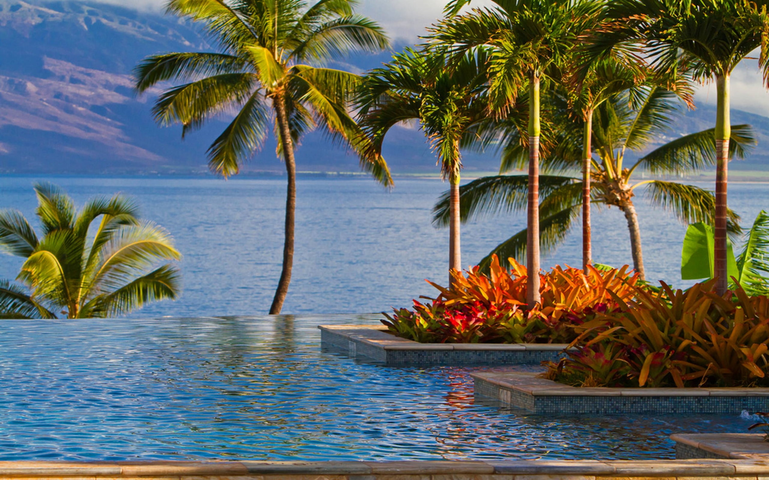 four, wailea, background, desktop, hawaii, seasons, maui, 2K, HD Wallpaper