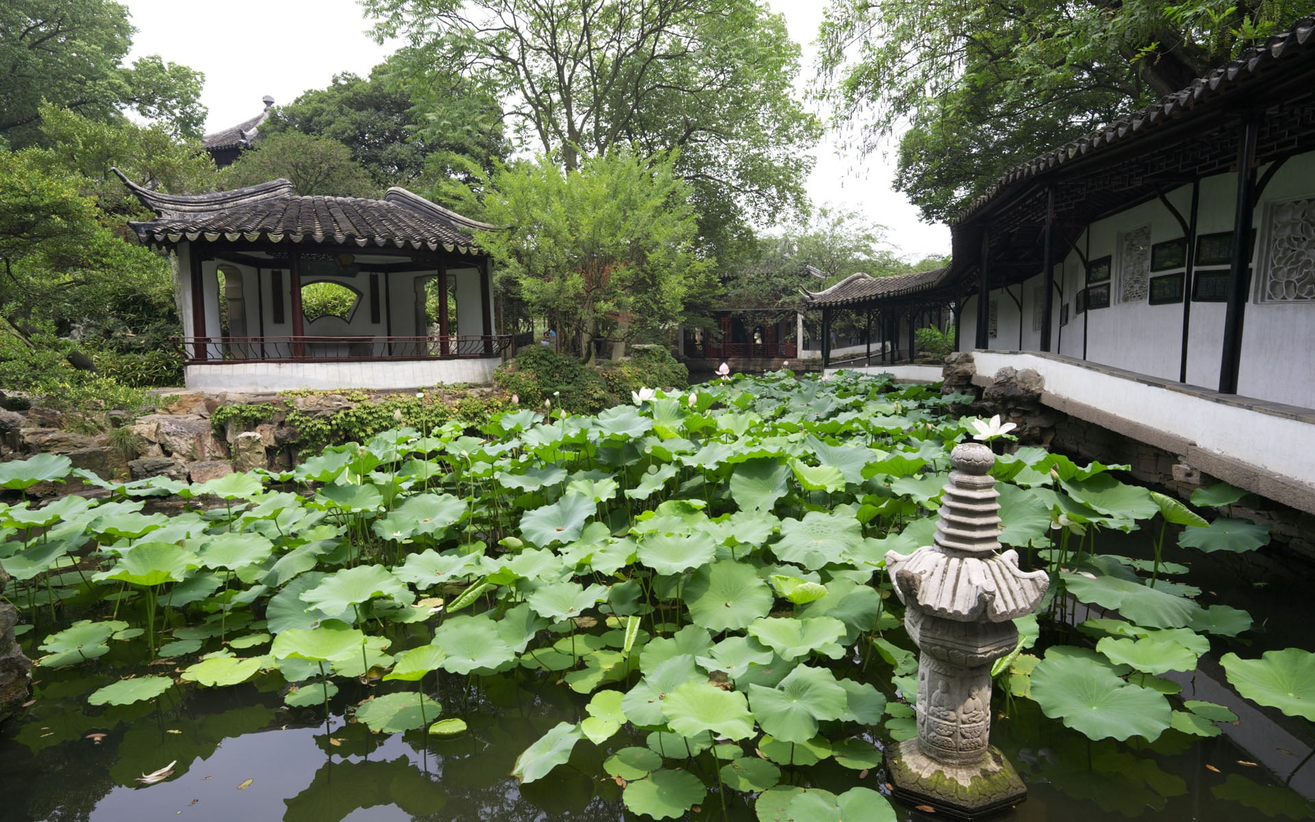gardening, nature, human representation, no people, growth, china, buddhism, japanese Culture, rural Scene, garden, formal Garden, chinese Culture, plants, HD Wallpaper