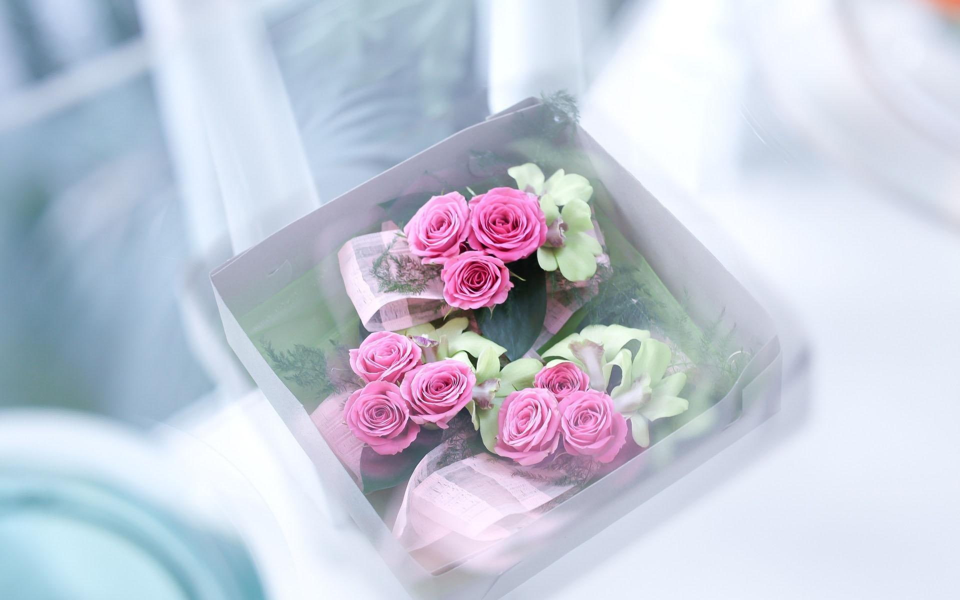 1080P, flowers, delicate, blooms, petaled, rose, lovely, tender, petals, sweet, tenderness, blossoms, nature, buds, pink, beautiful, HD Wallpaper