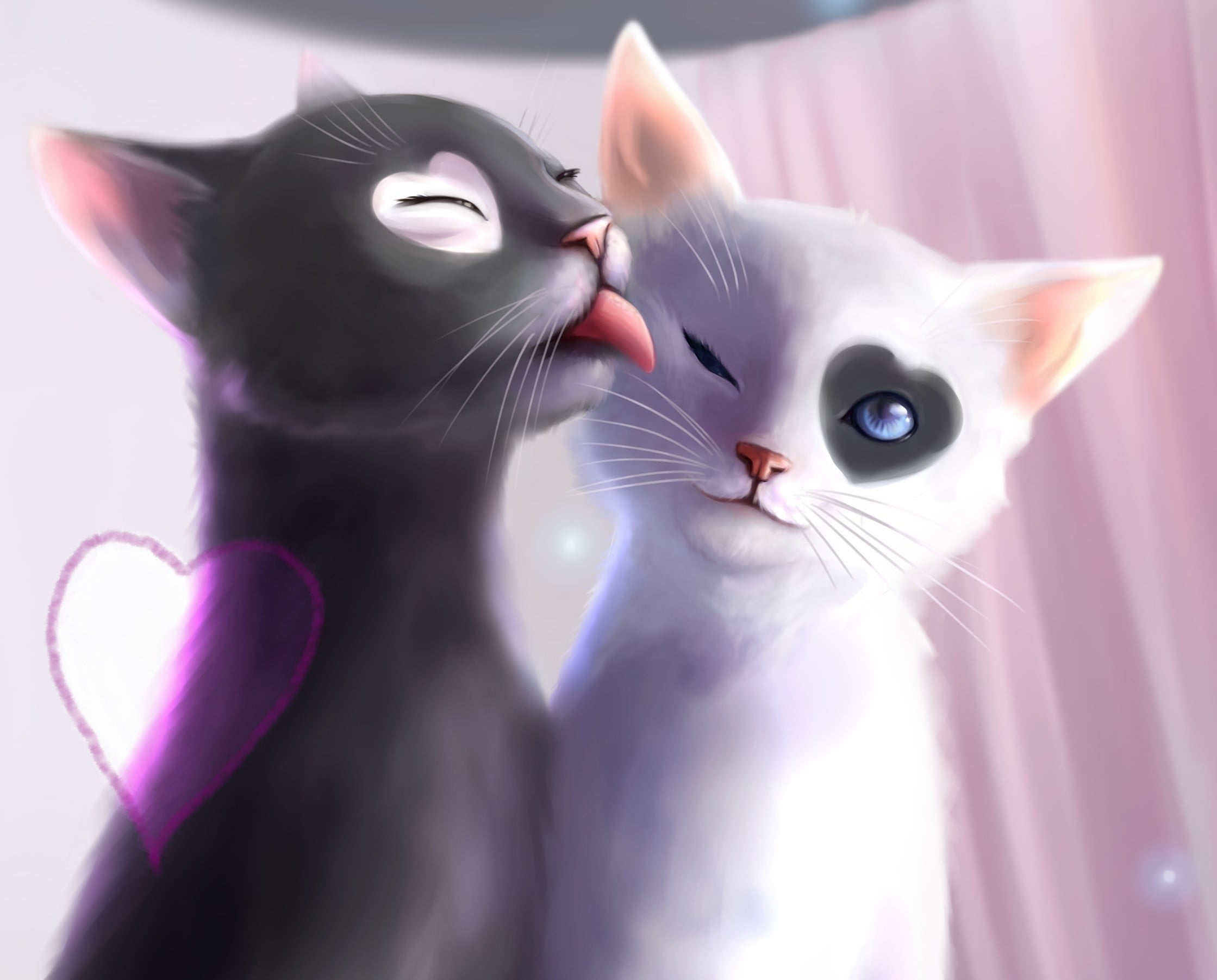animal, cats, young Animal, animal Eye, mammal, indoors, sunlight, close-up, portrait, art, pink color, no People, blue, cat, tenderness, kitten, feline, HD Wallpaper