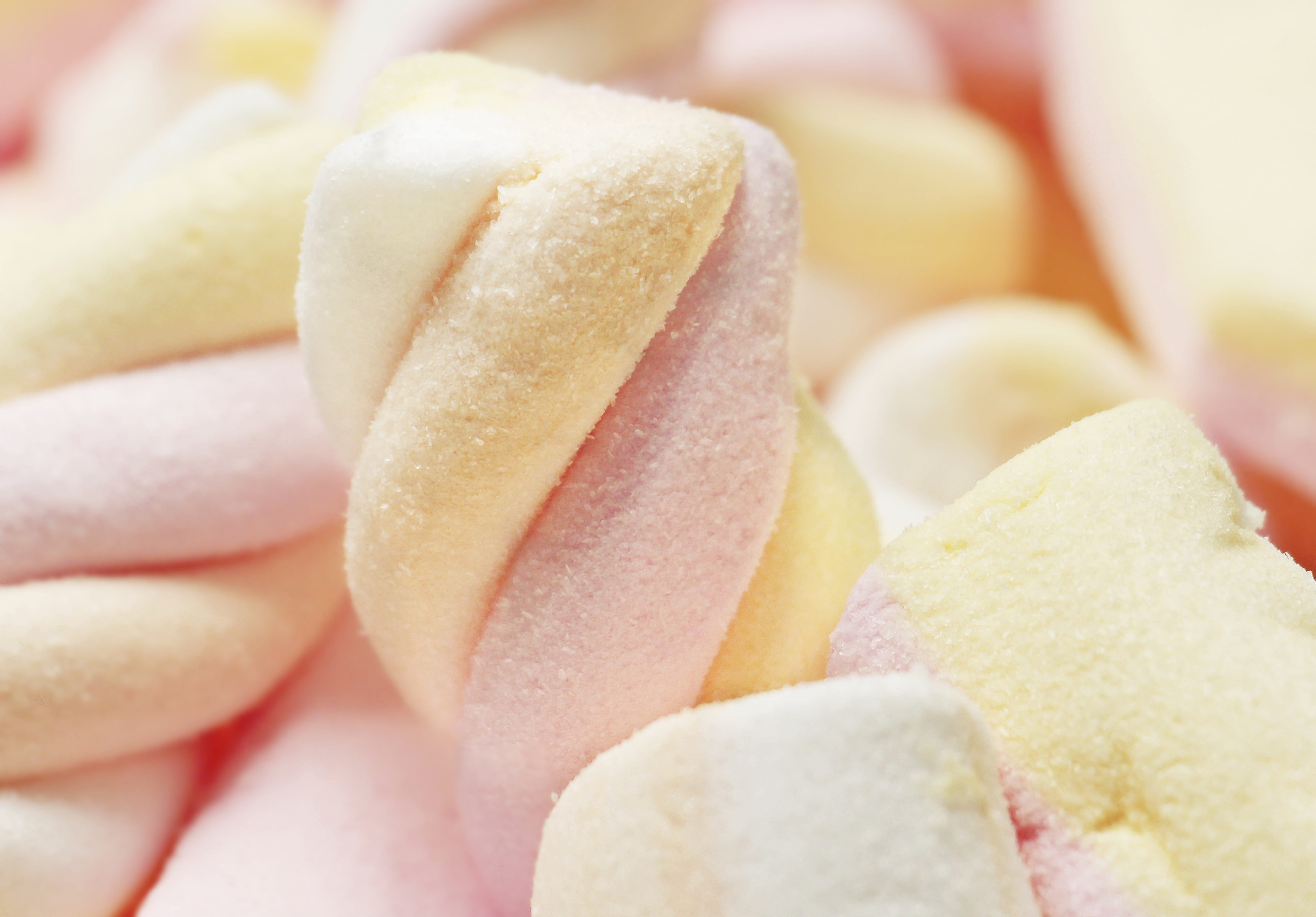 snack, 5K, sweet, thanksgiving, greeting card, no people, postcard, large group of objects, pink, campfire, nutrition, white, sugar, photo, selective focus, HD Wallpaper