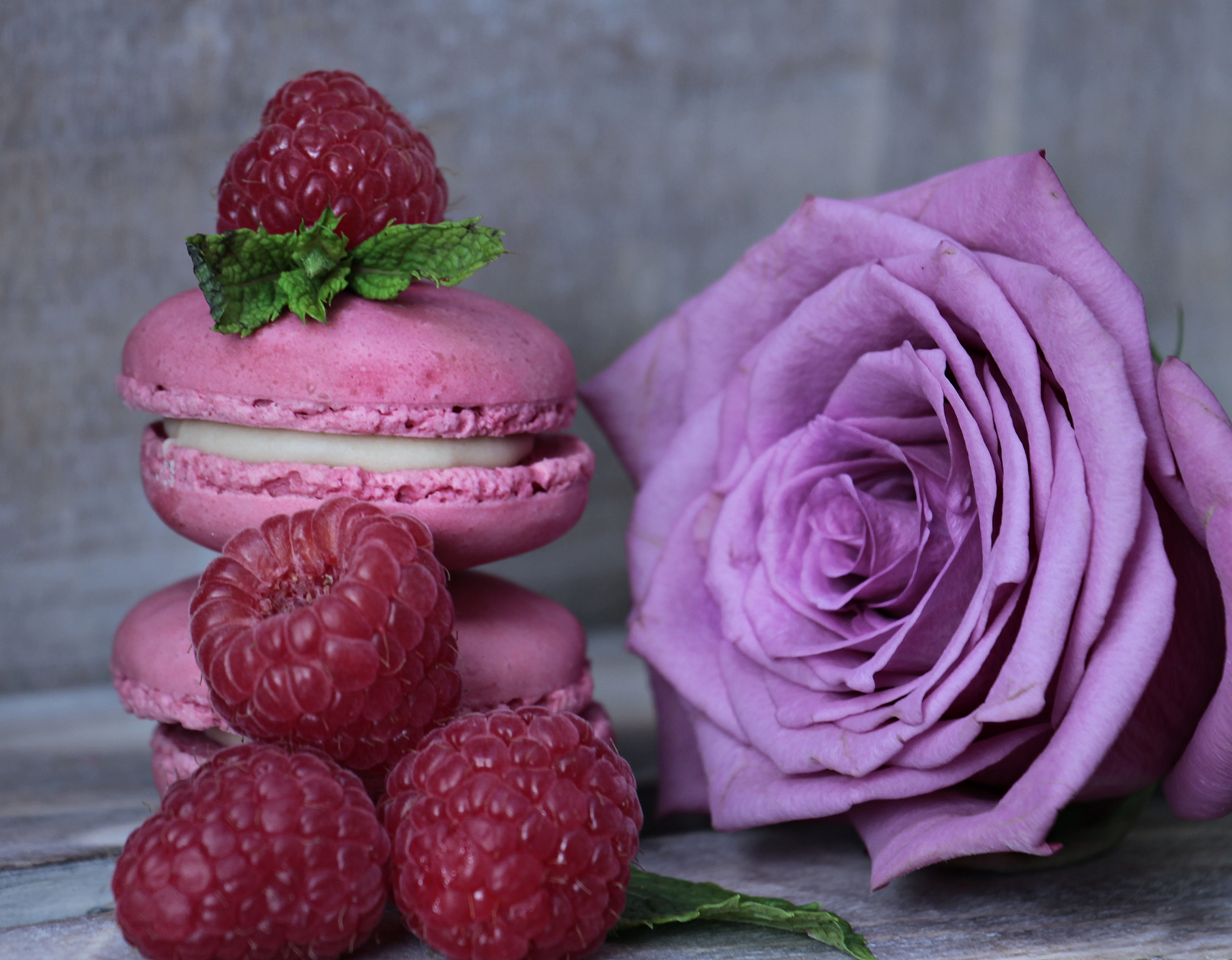 sweet food, pastel, brand, food, no people, sweetness, table, french pastries, indulgence, red fruits, pastellfarben, bloom, temptation, 5K, berry fruit, HD Wallpaper