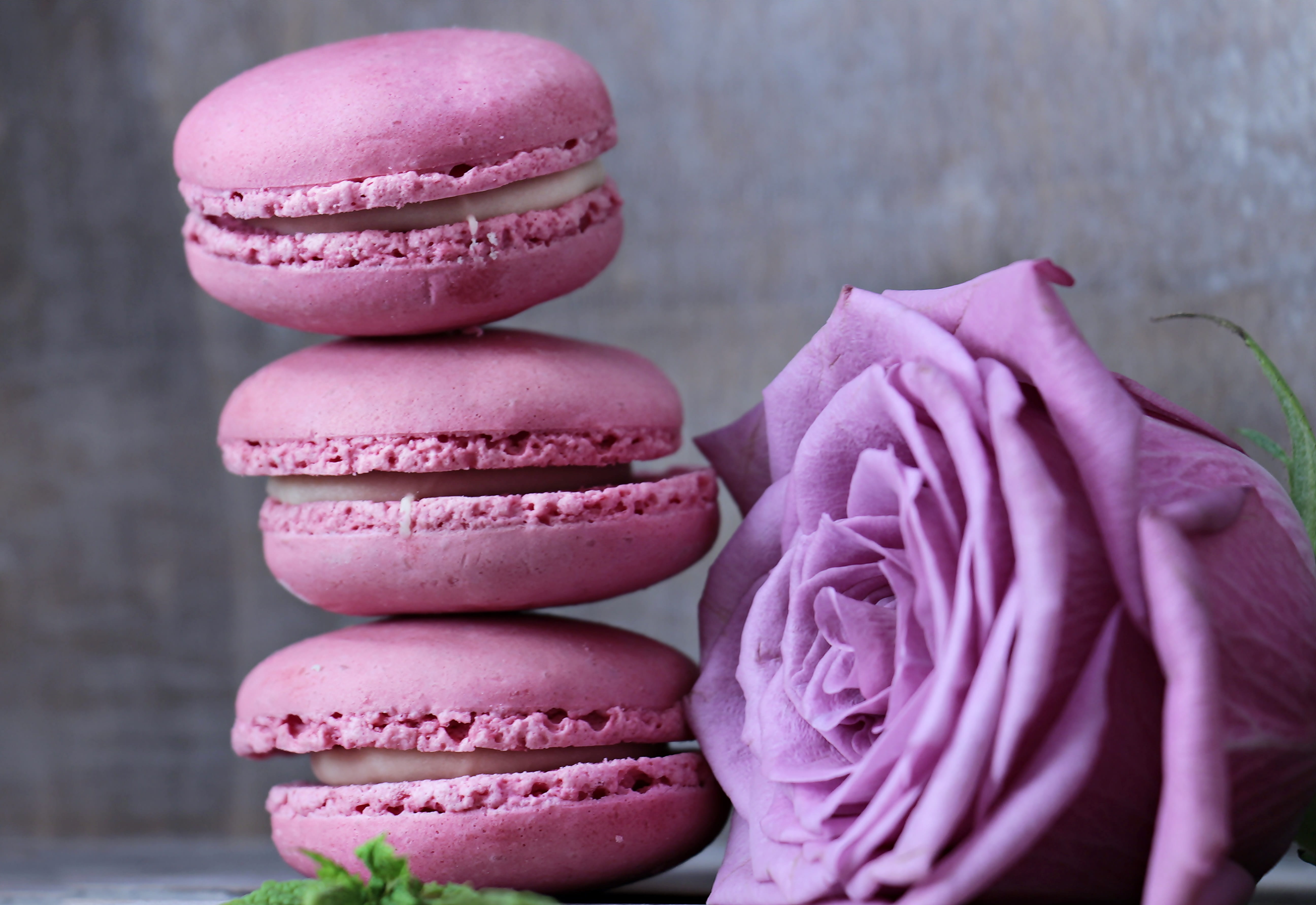 greeting card, 5K, french food, balanced, floribunda, ready-to-eat, food and drink, pink macarons, pink color, still life, postcard, in a row, food, beside, HD Wallpaper