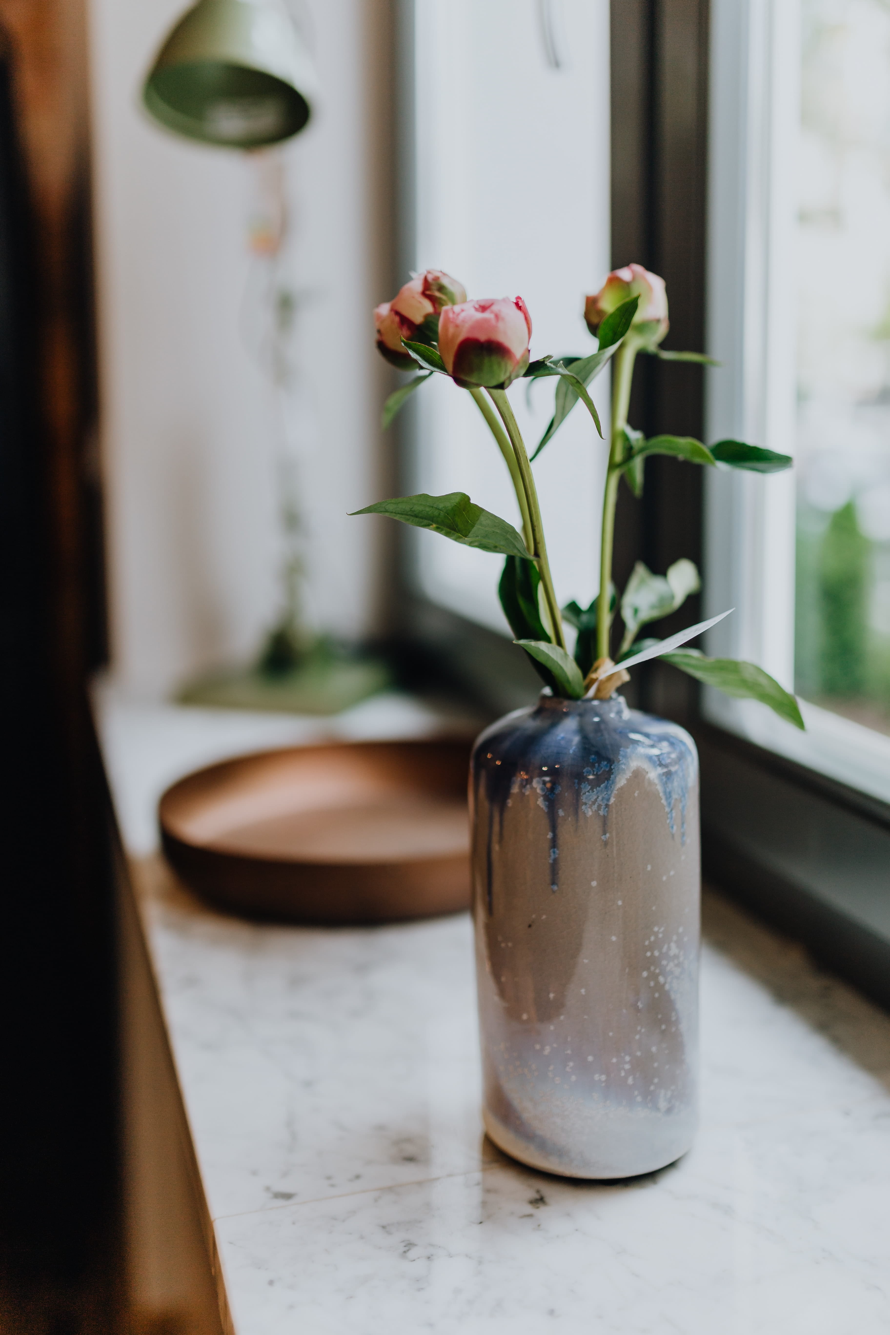 peonies, window, springtime, bloom, focus on foreground, houseplant, peony, growth, bouquet, flower, freshness, 5K, lovely, glass - material, blossom, Phone HD Wallpaper