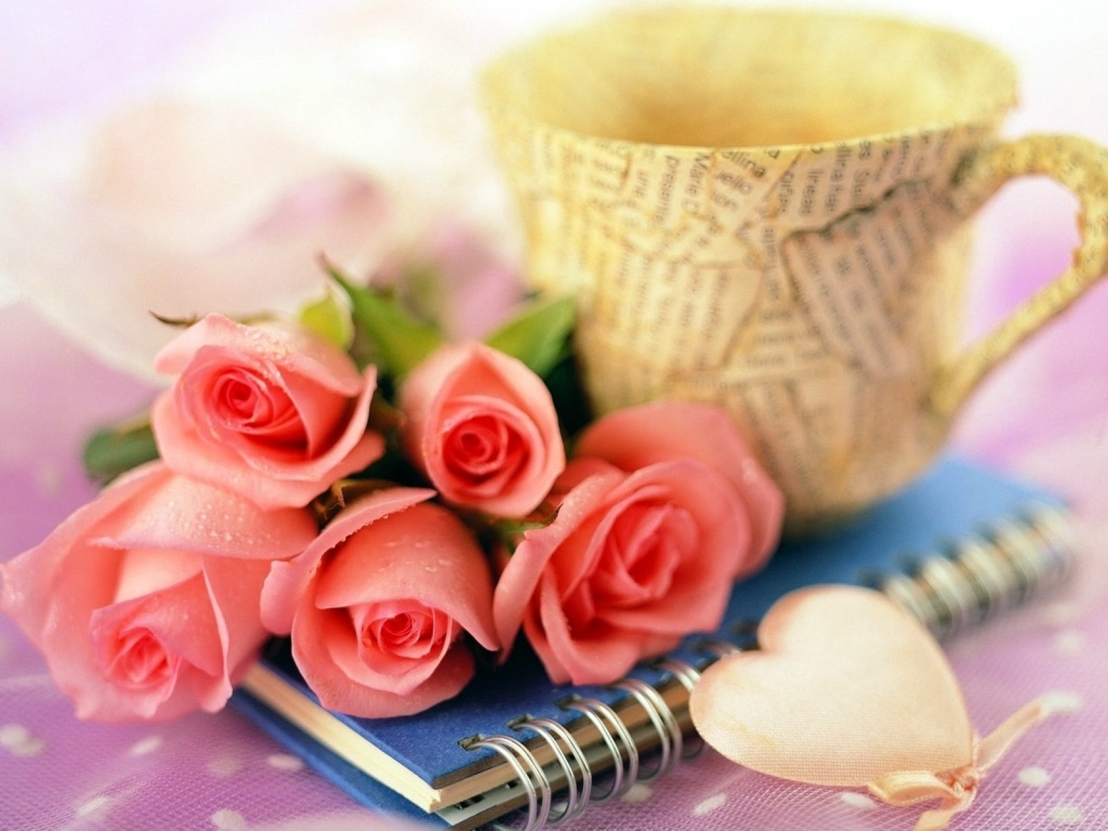 rose, 720P, cups, flower, pink, HD Wallpaper