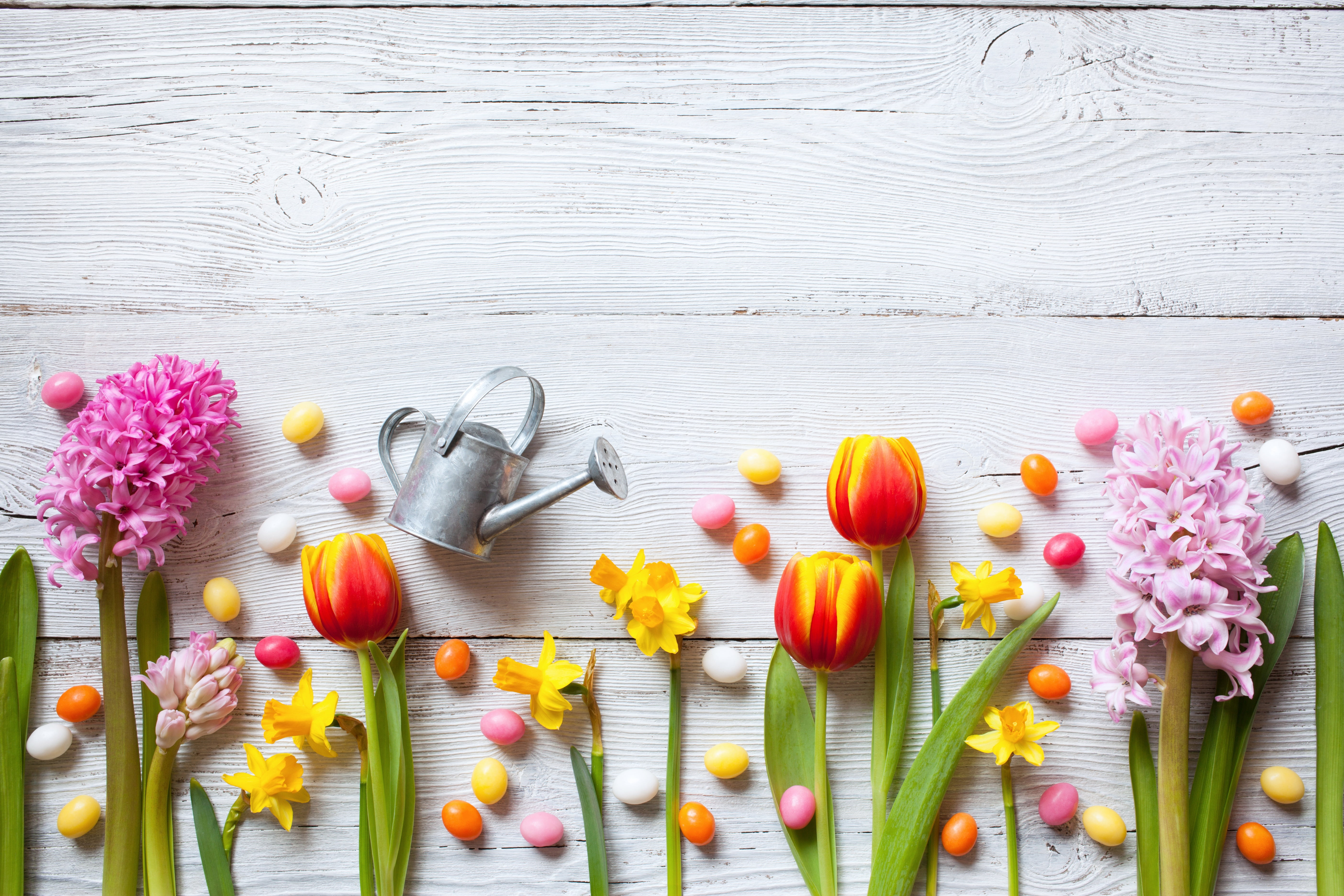 eggs, wood, flowers, crocuses, spring, 5K, Easter, decoration, the painted eggs, tulips, daffodils, Happy, colorful, HD Wallpaper