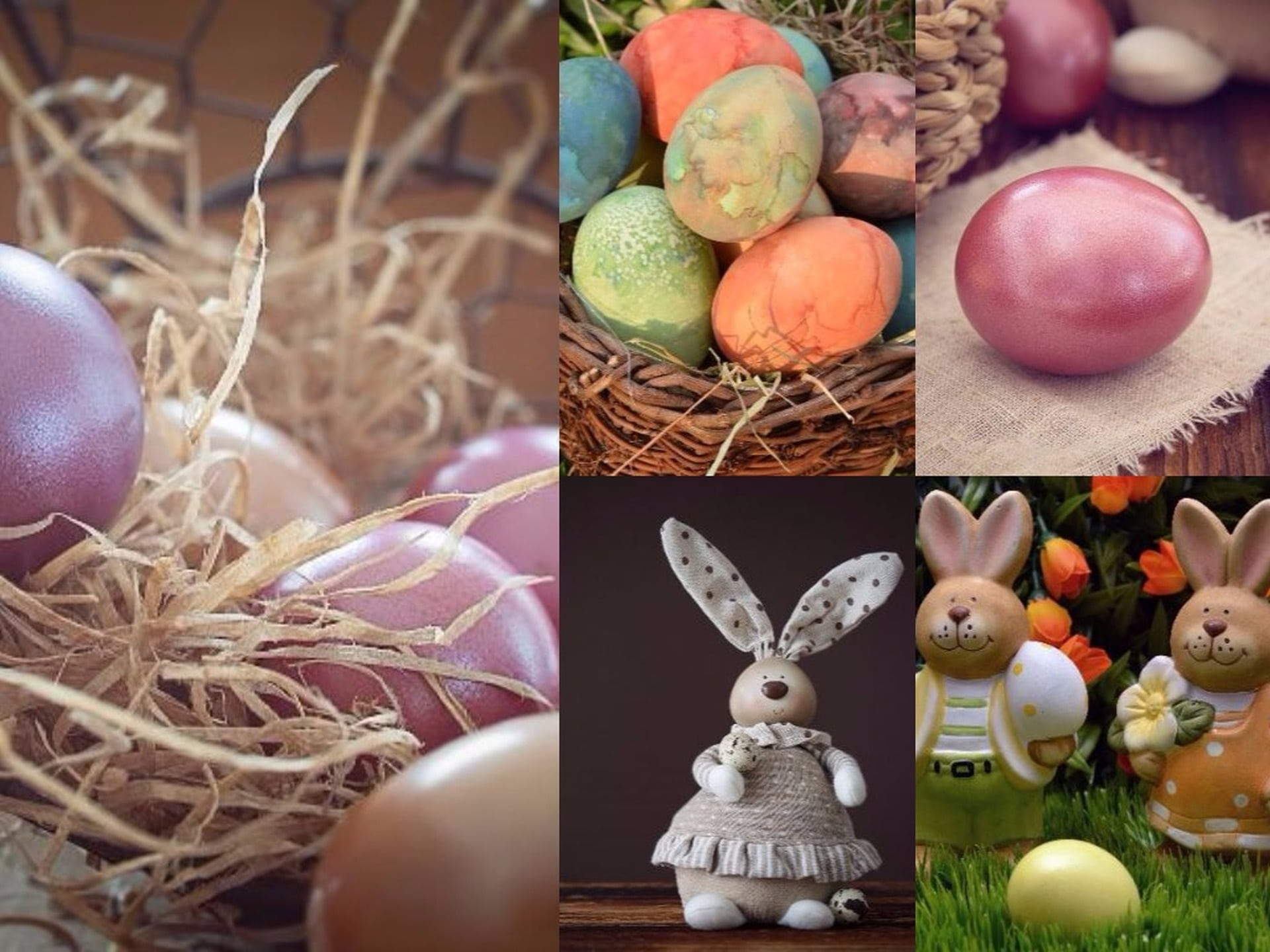 easter egg, photo, easter eggs, indoors, easter bunny, decoration, colorful eggs, color palette, creativity, easter decorations, collage, pattern, nest, HD Wallpaper