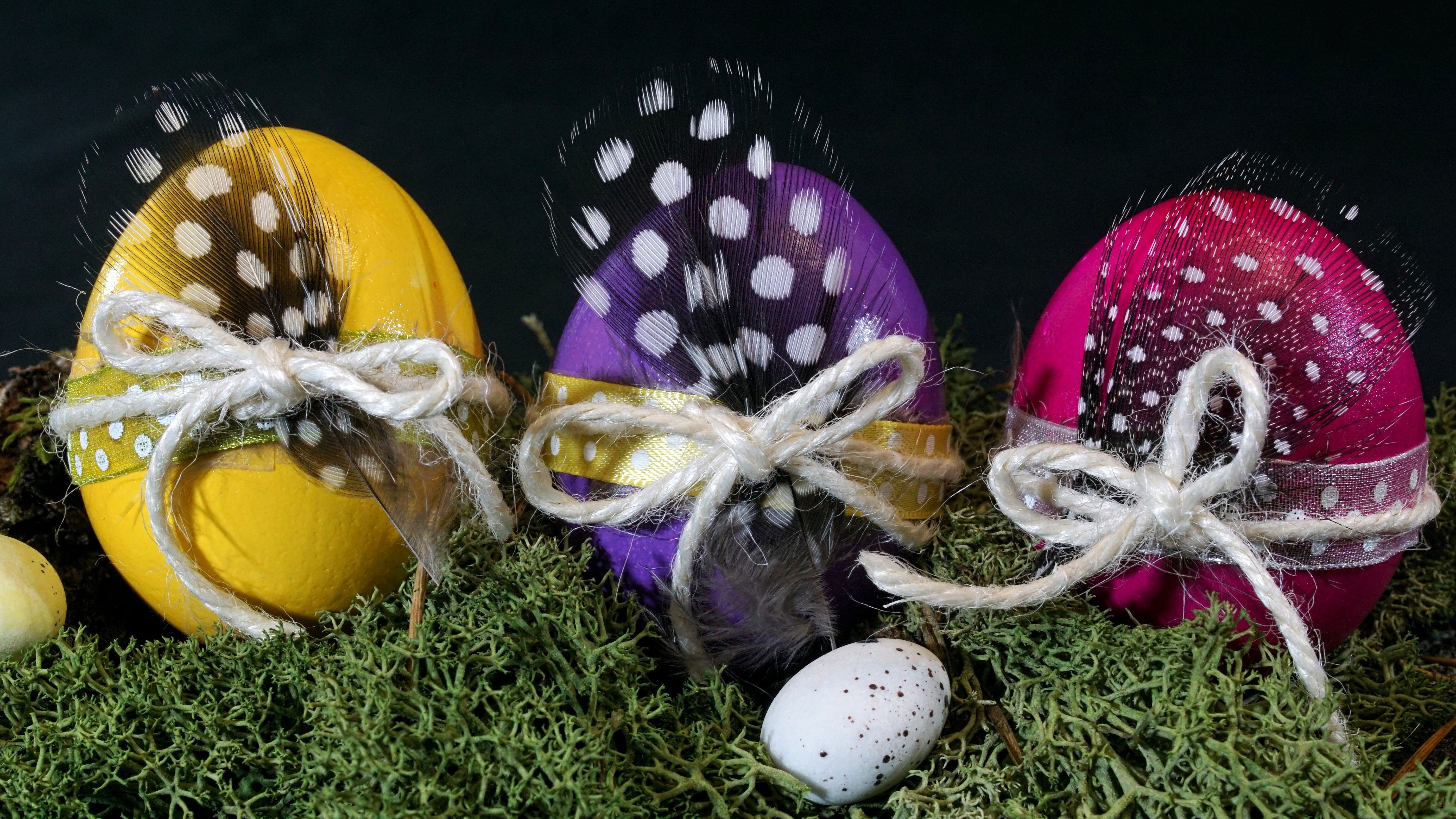 flowering plant, easter egg, choice, happy easter, decoration, 5K, easter, assorted, spring, food, three, still life, decorated, ornaments, colorful eggs, HD Wallpaper