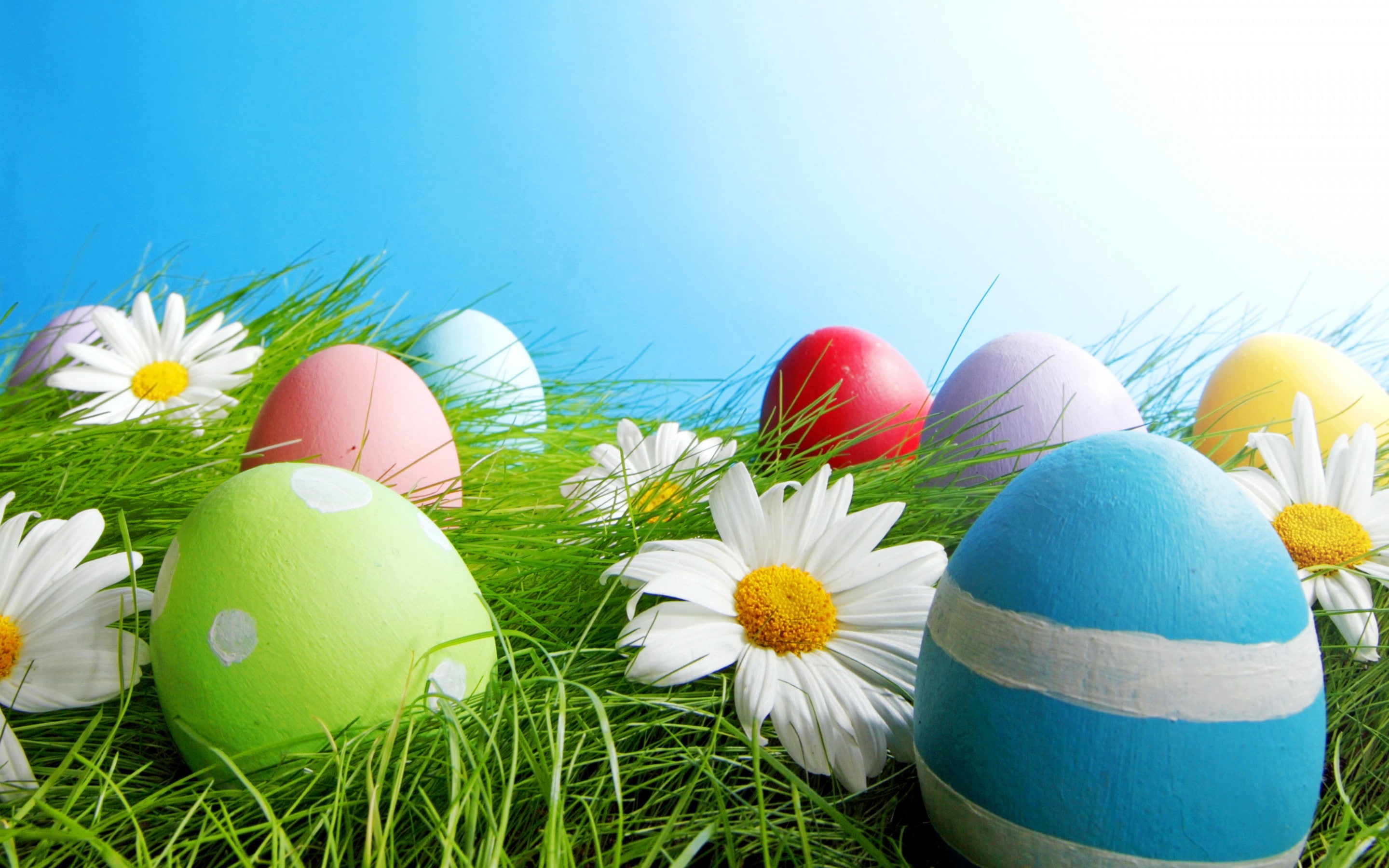 sky, light, spring, Eggs, flowers, 2K, Easter, grass, HD Wallpaper