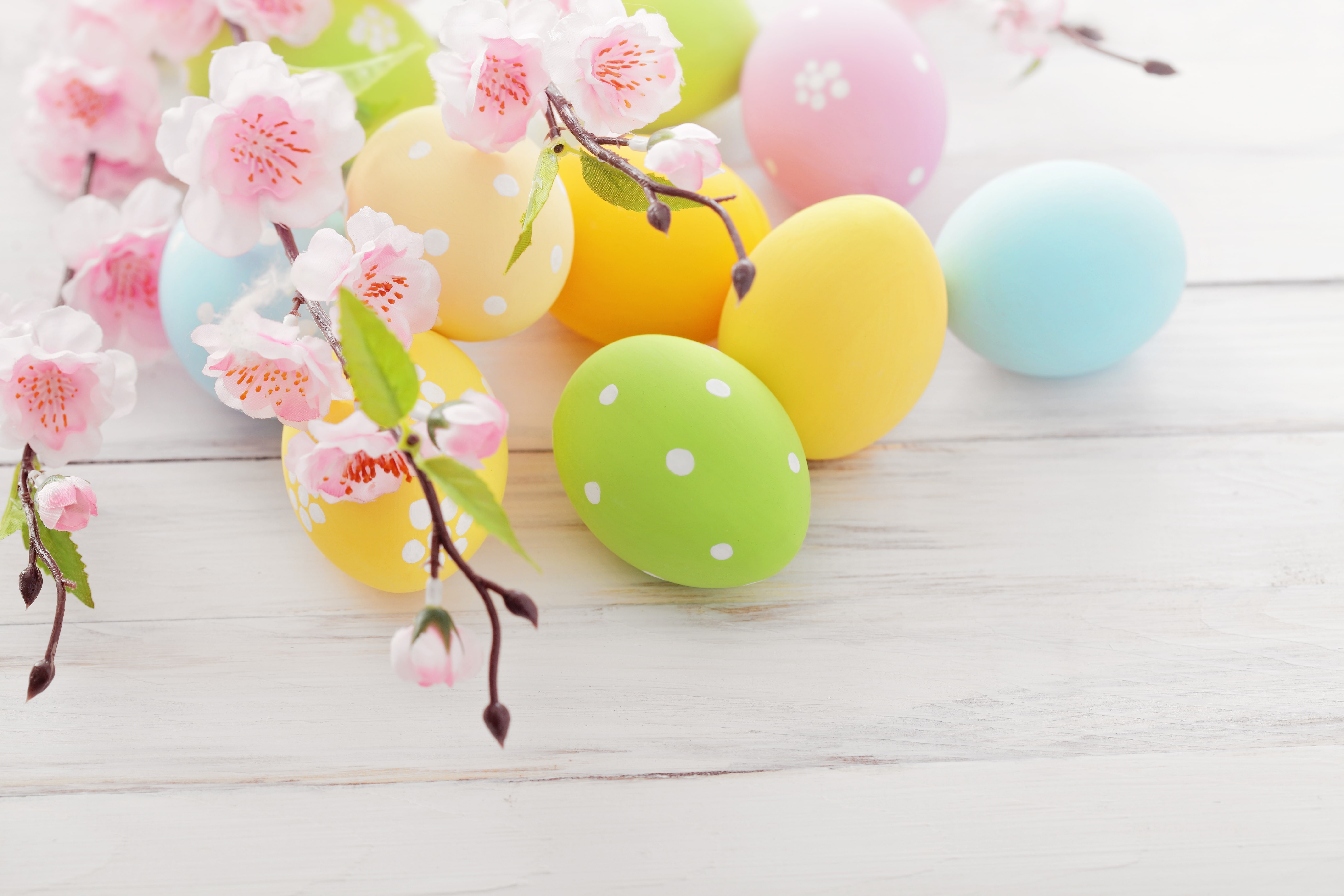 eggs, 5K, Easter, flowers, spring, HD Wallpaper