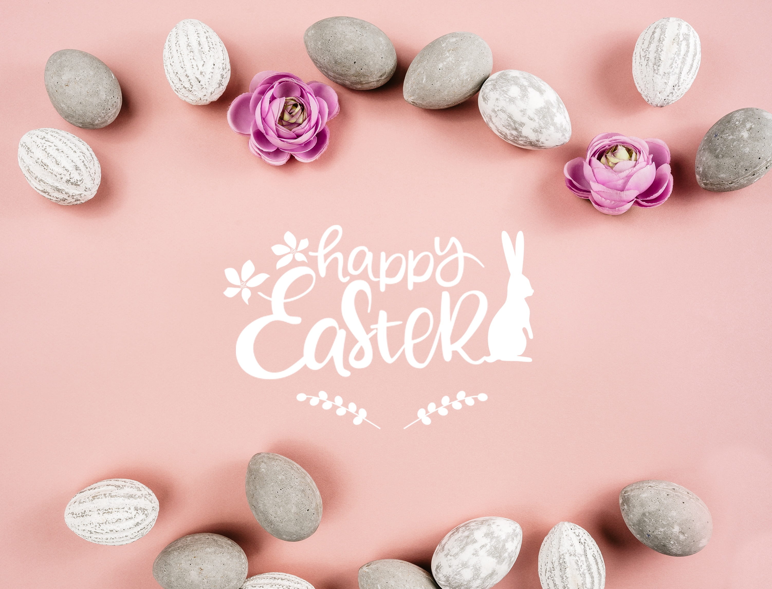 2K, adorable, cute, grey, pink color, hare, western script, positive emotion, decoration, easter, no people, bunny, indoors, emotion, pink background, HD Wallpaper