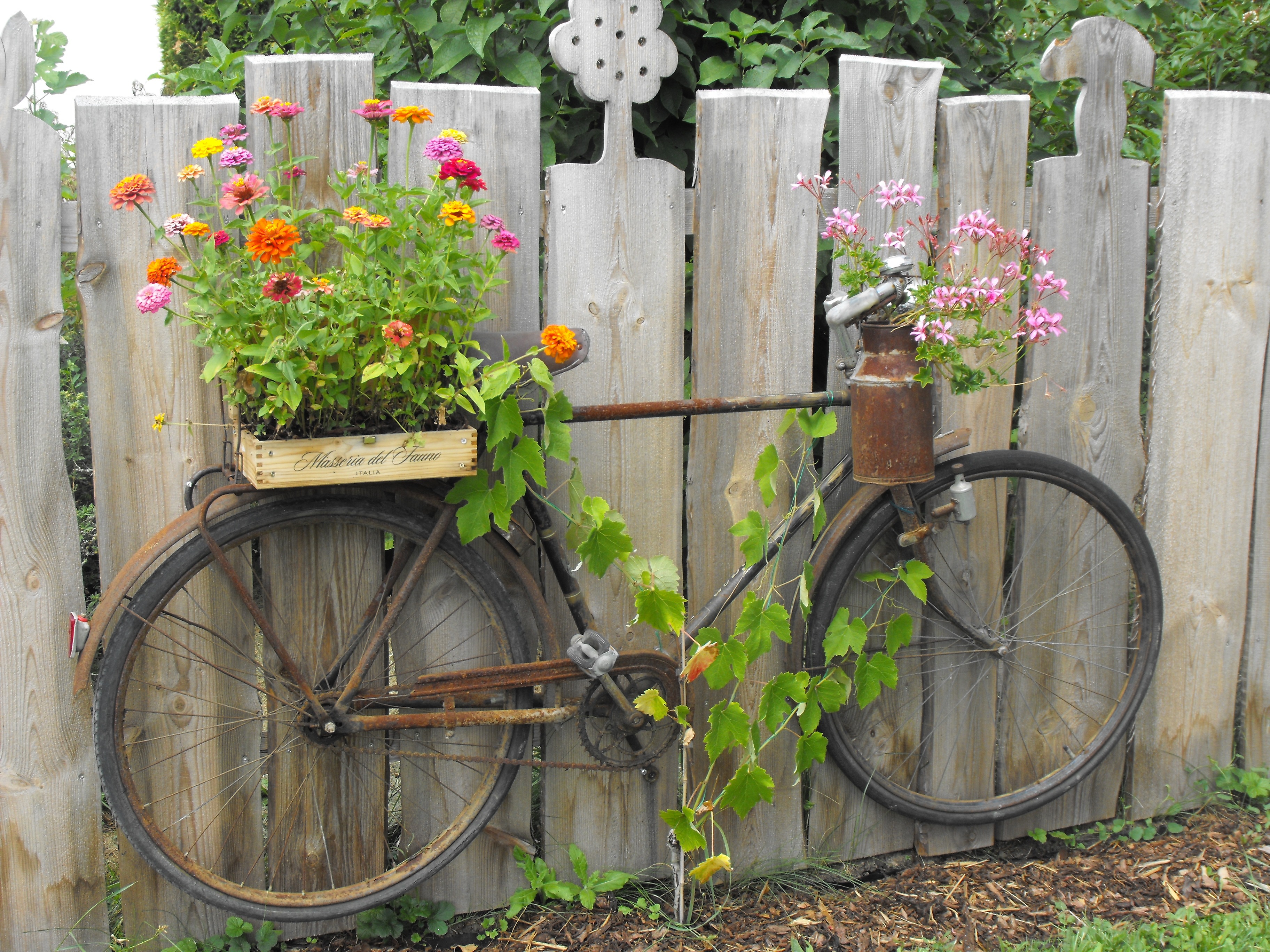 plant, land vehicle, growth, nature, pot, flower head, stationary, pots, wheel, freshness, rack, bike, flower, barrier, two, flowering plant, plant part, HD Wallpaper