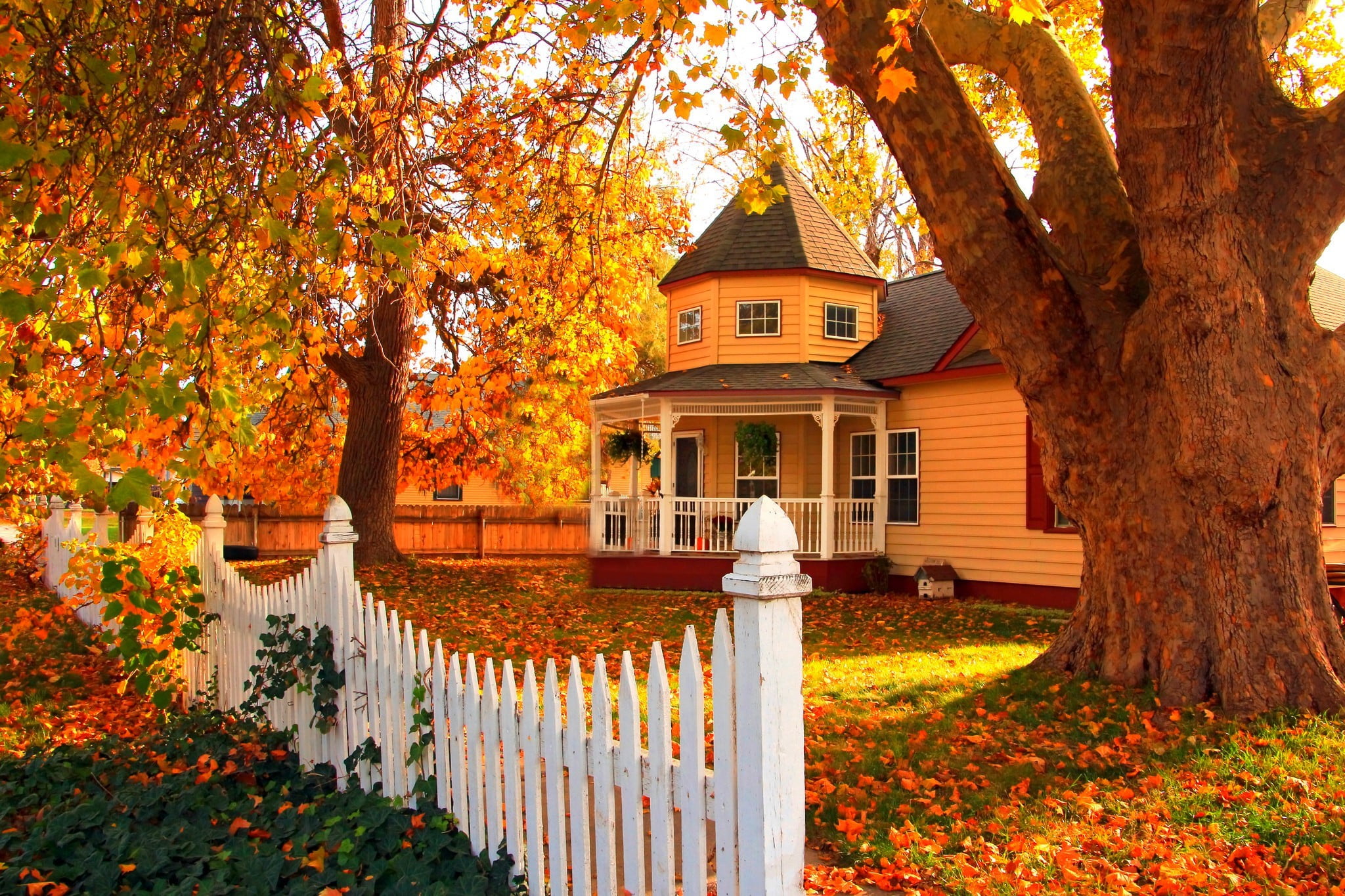 leaves, 1080P, building Exterior, storey, front or Back Yard, old, house, architecture, residential Building, colorful, residential District, plant part, HD Wallpaper