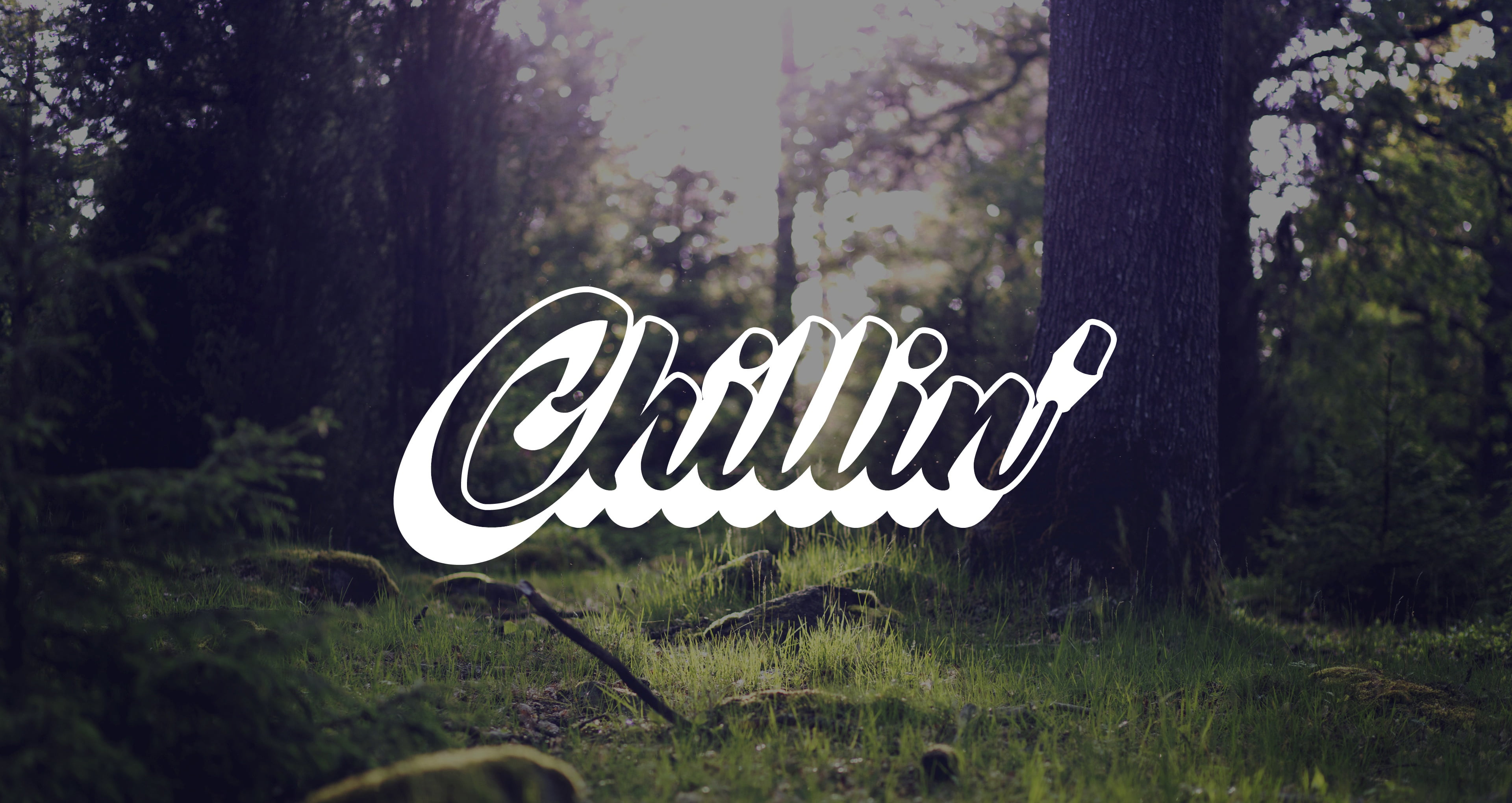 nature, western script, message, forest, text, tree trunk, trunk, information, grass, trees, 4K, tree, no people, information sign, communication, capital letter, HD Wallpaper