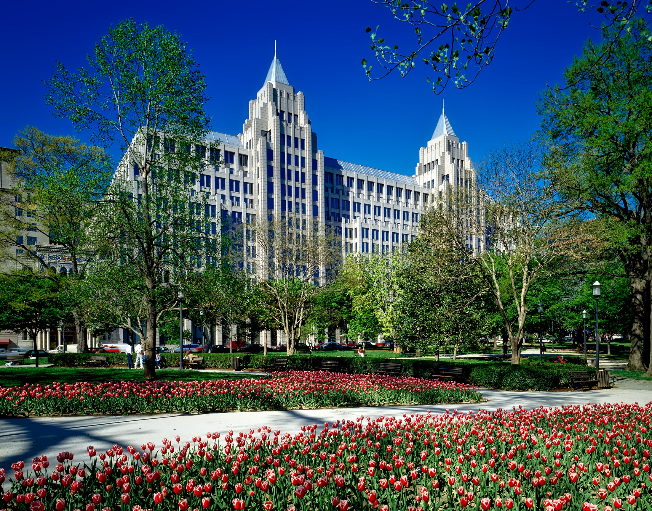tulips, flowers, plants, no people, tree, flower, franklin park, built structure, idyll, day, beauty in nature, travel destinations, 1080P, nature, hdr, HD Wallpaper