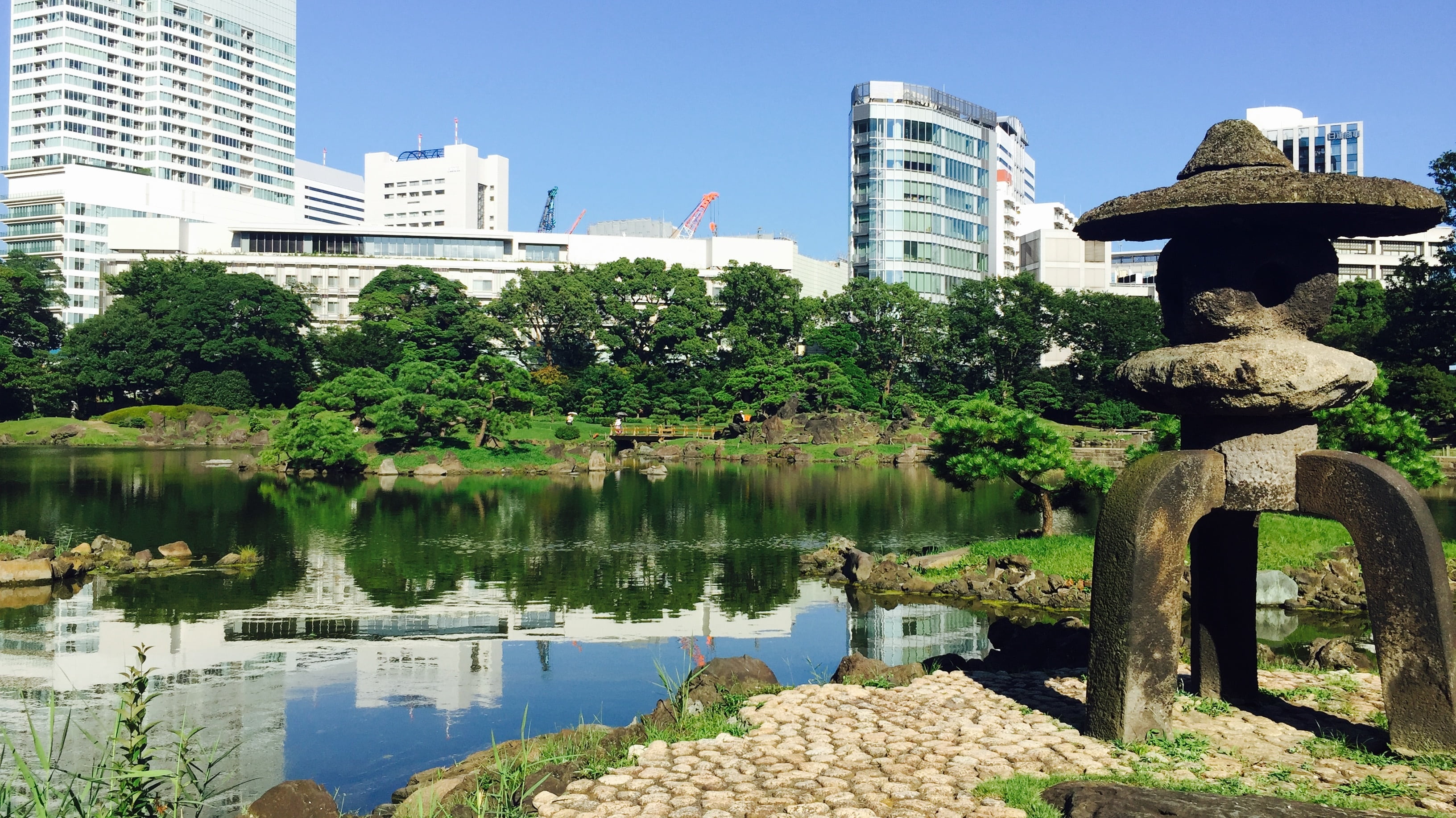 sky, reflection, garden, office building exterior, water, building, day, no people, travel destinations, tree, plant, outdoors, skyscraper, city, tokyo, HD Wallpaper