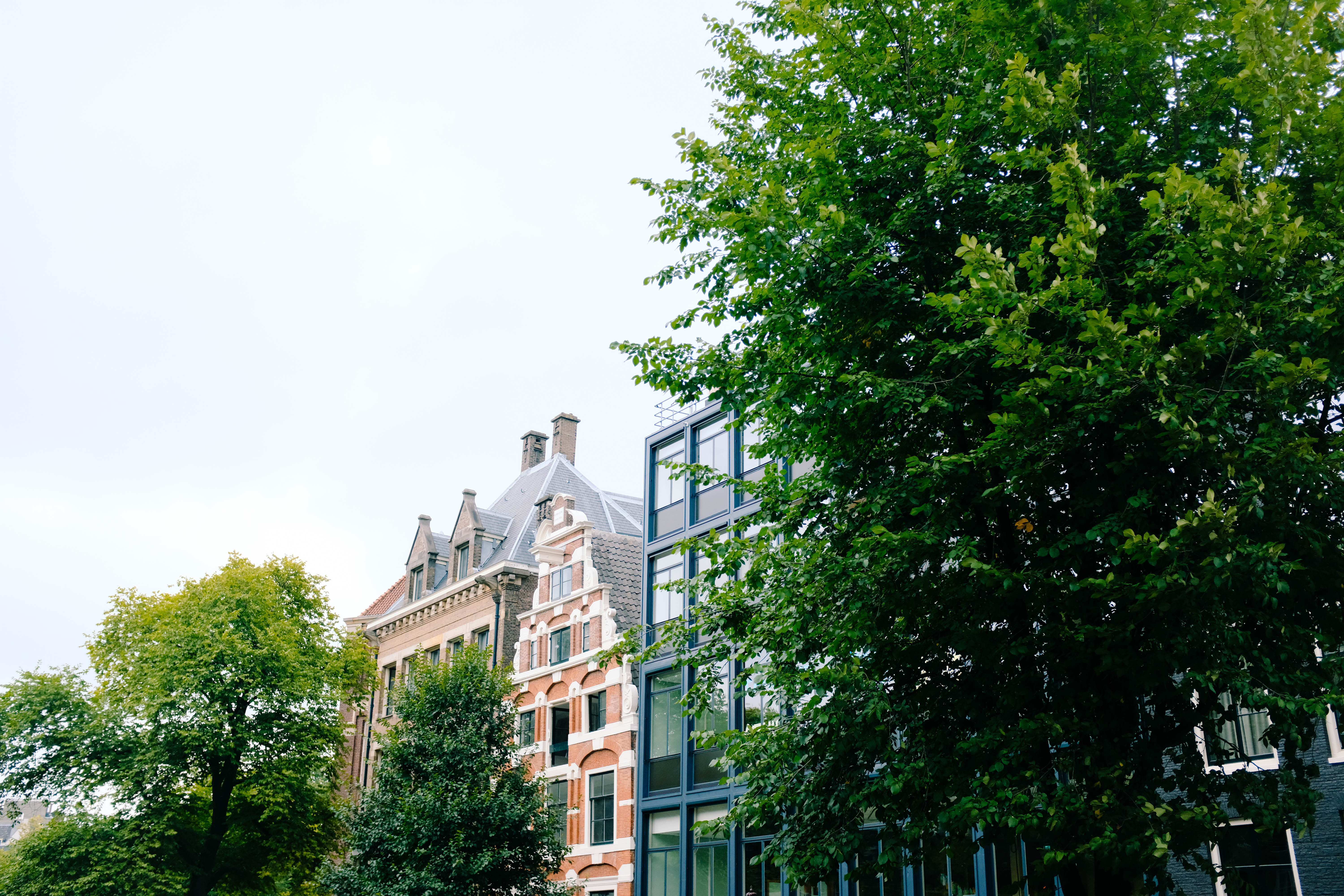 history, vegetation, sky, grass, nature, building exterior, window, abies, green color, architecture, 5K, garden, low angle view, urban, office building, HD Wallpaper