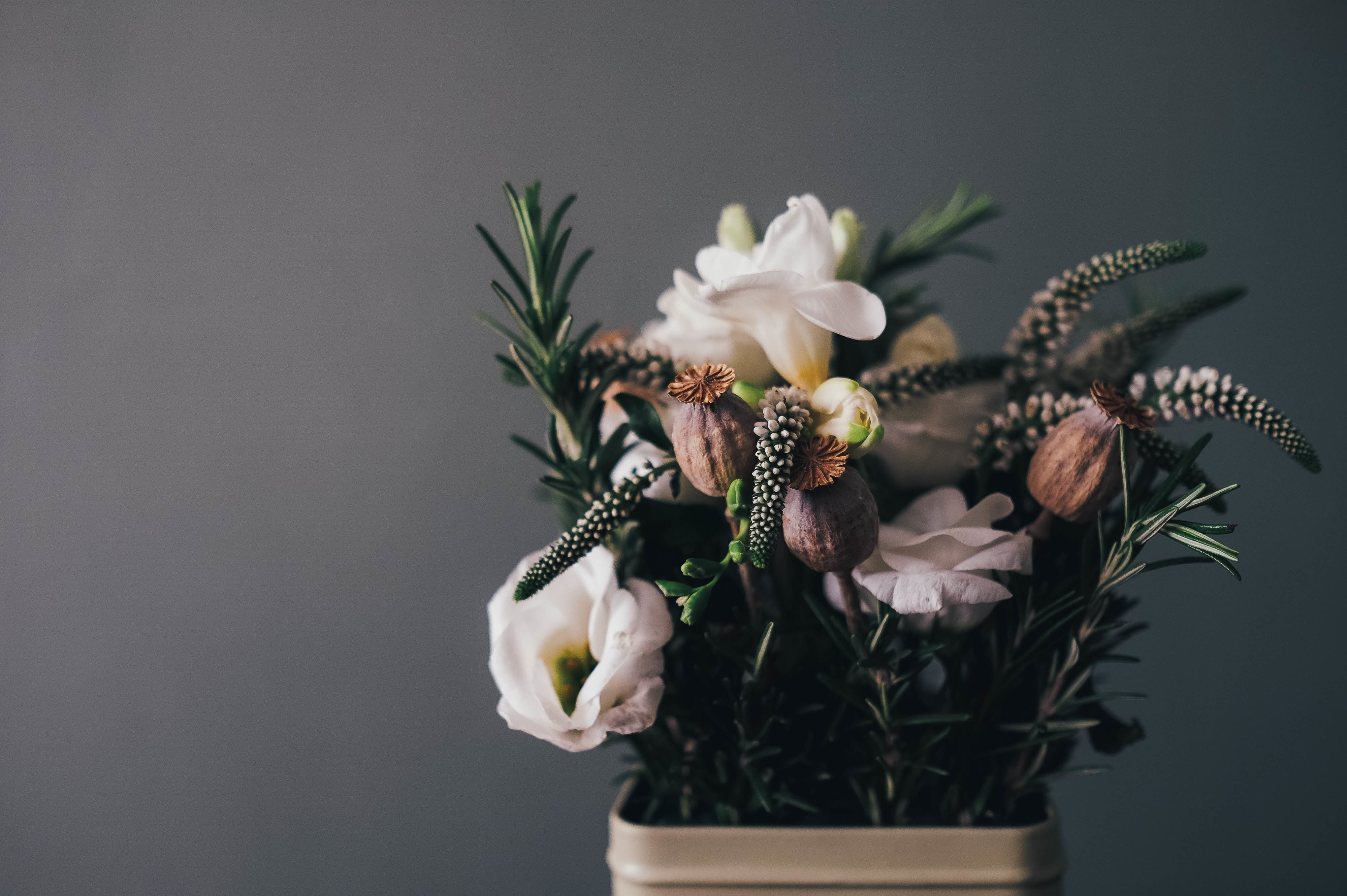 4K, decoration, petal, white color, inflorescence, bunch of flowers, white, studio shot, gift, artificial, fragility, petaled, close-up, elegance, flowers, HD Wallpaper
