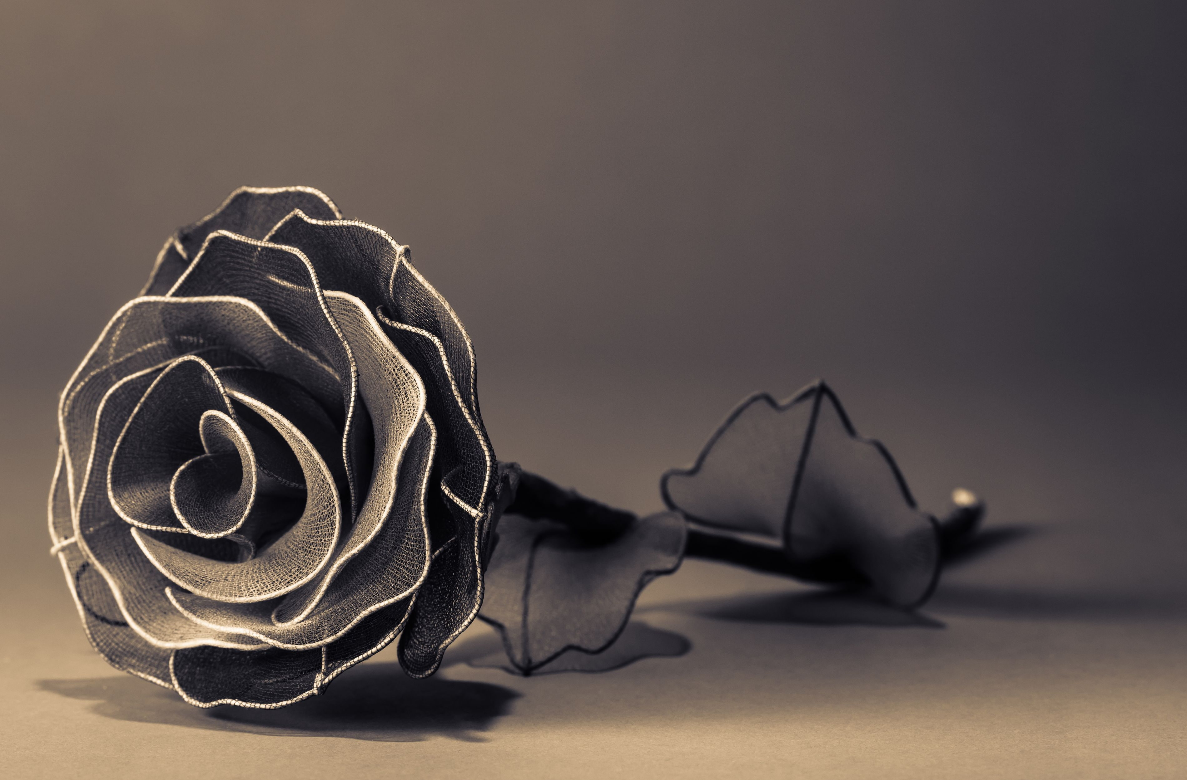 still life, nature, copy space, indoors, petals, leaf, focus on foreground, HD, artificial, flowers, widescreen, background, selective focus, HD Wallpaper