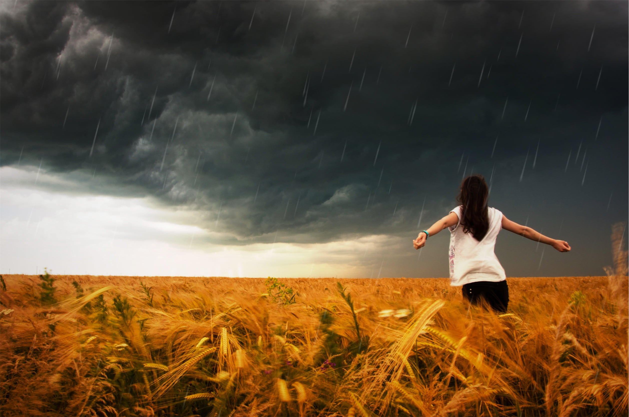 nature, casual clothing, storm, field, people, wheat, women, grey, woman, sky, landscape, three quarter length, standing, 1080P, plant, rain, environment, HD Wallpaper
