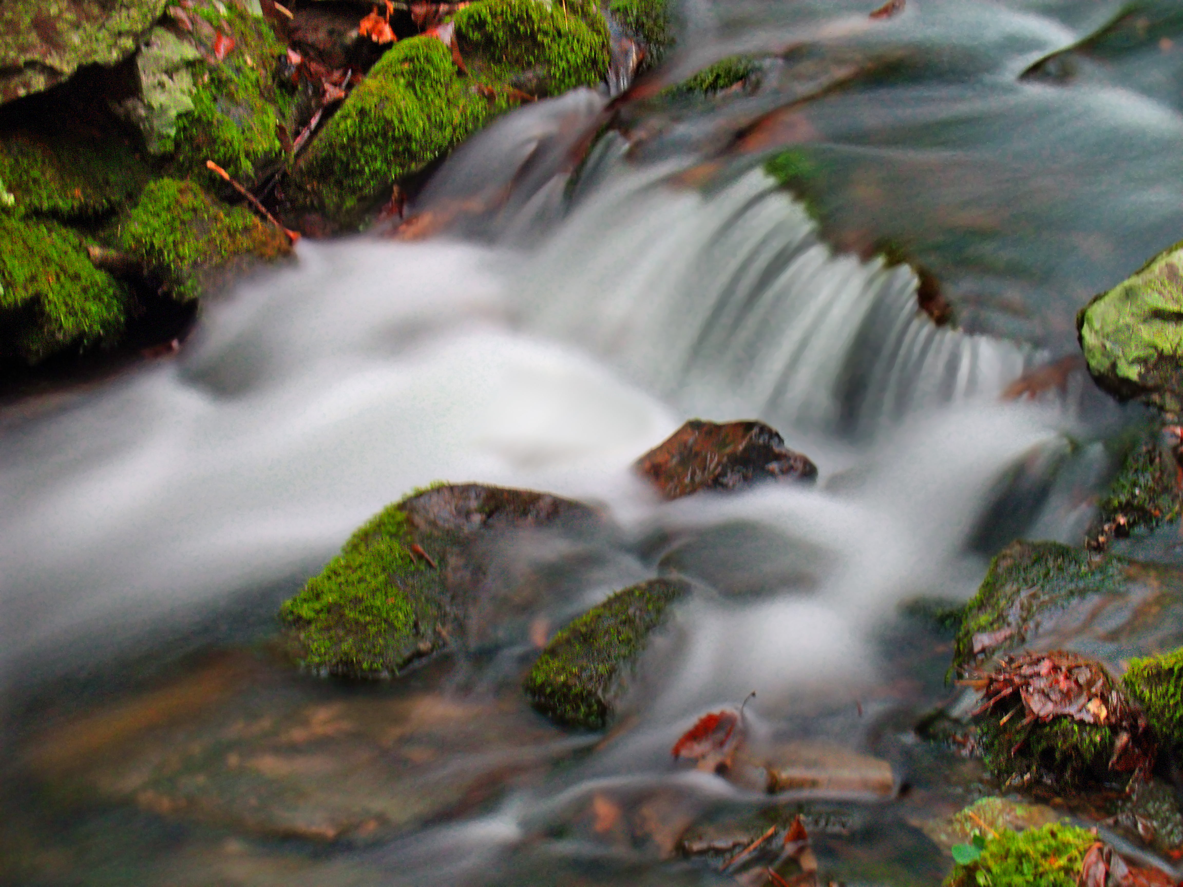 rock - Object, autumn, Clinton County, flowing Water, Pennsylvania, scenics, gray, cascades, creek, hiking, green, landscape, leaf, river, State Game Lands, HD Wallpaper